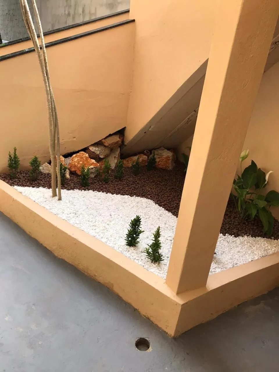 Garden view in Pousada Floripes