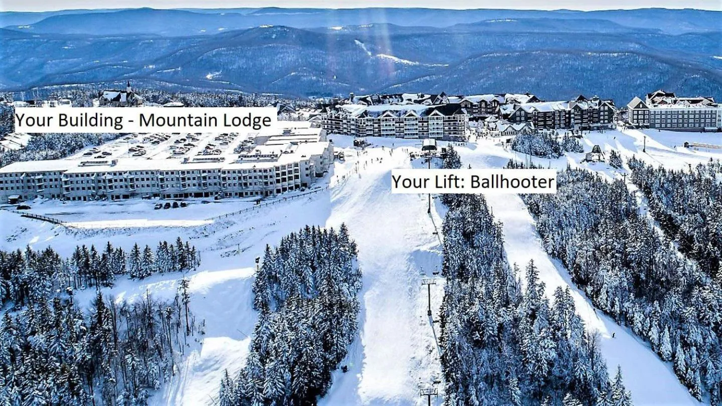 Property building in Stroll to Slopes, Village Area, Ski in-out MtLodge 294