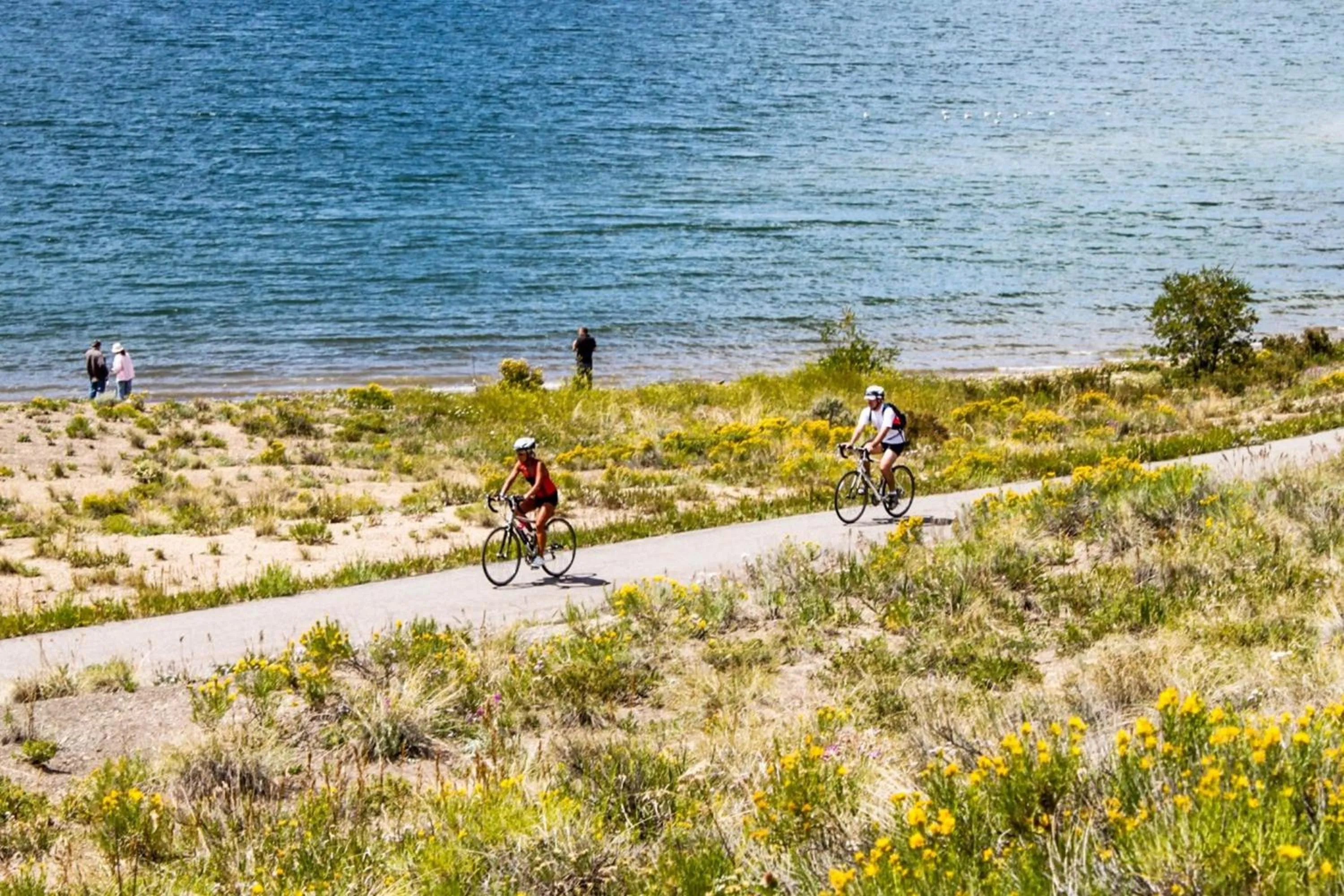 Cycling in Jackpine Lodge by Summit County Mountain Retreats