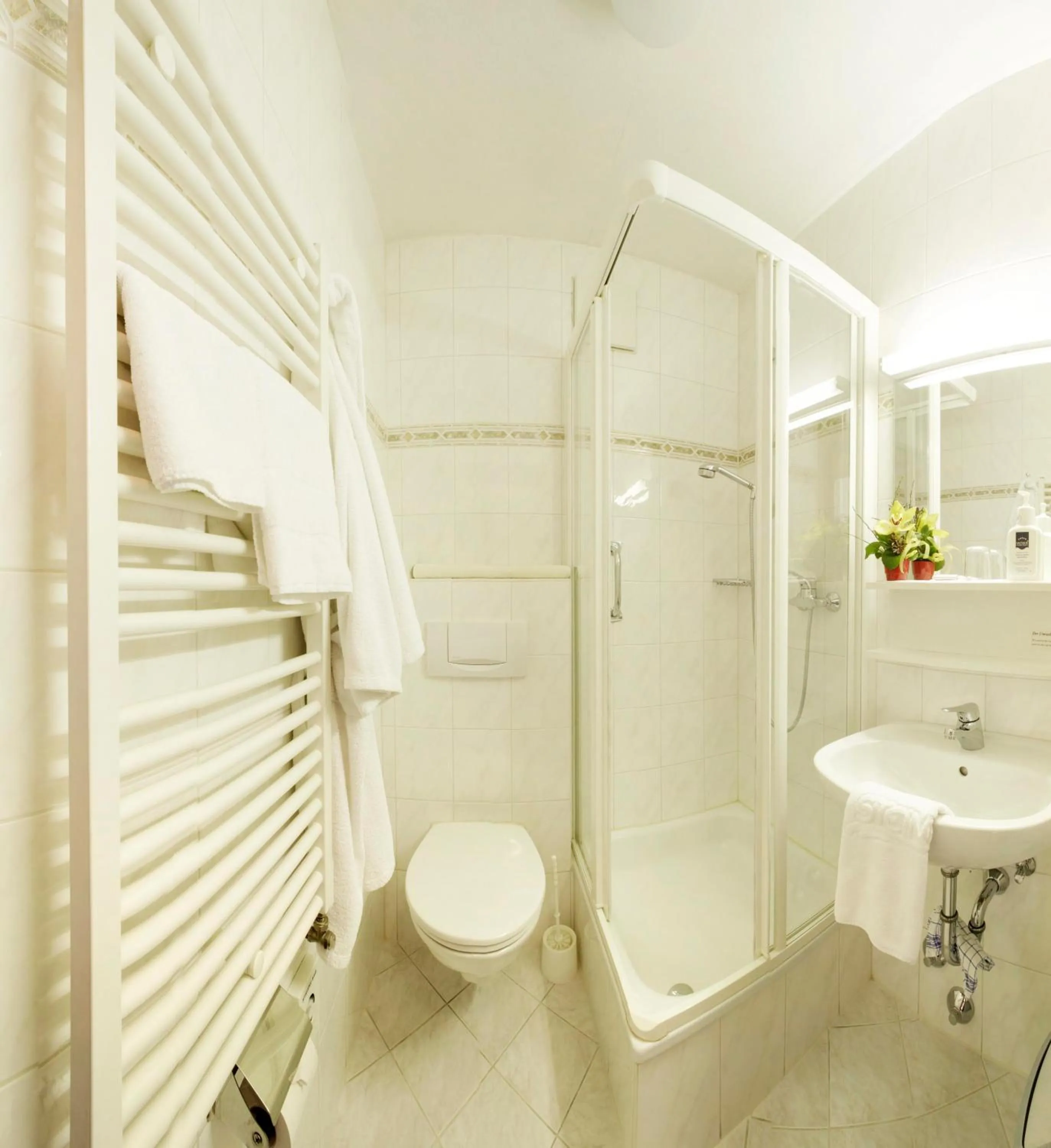 Shower in Kneipp-Kurhotel Steinle