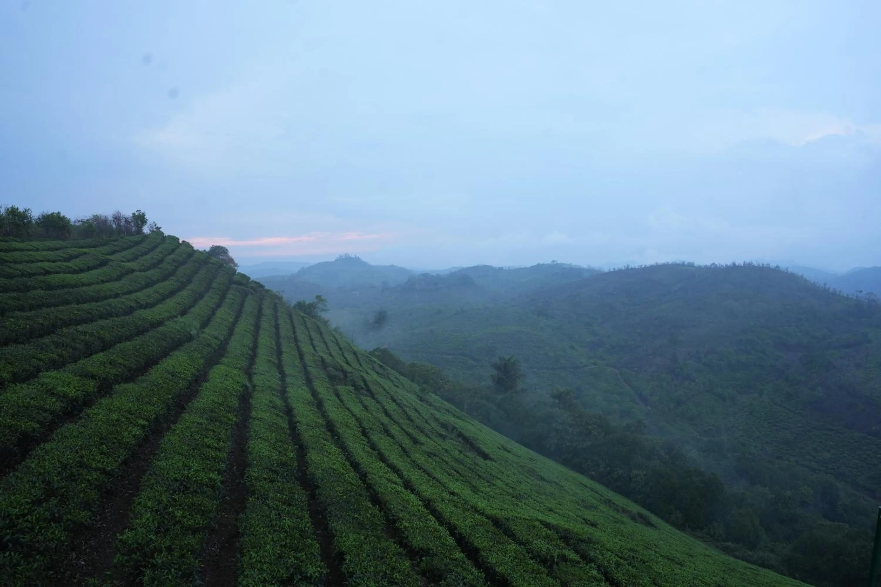 Vaga Mist Resort Vagamon