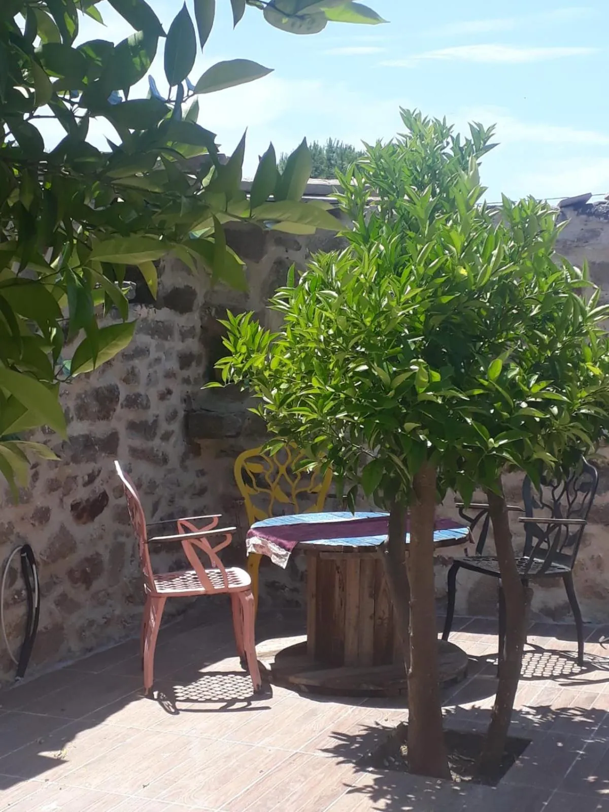 Garden in HAYAT ALTI OTEL ayvalık