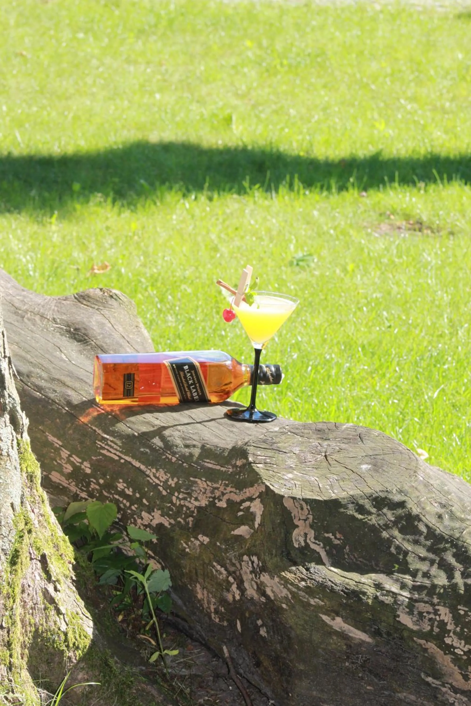 Garden in Hotel Zamek Lubliniec