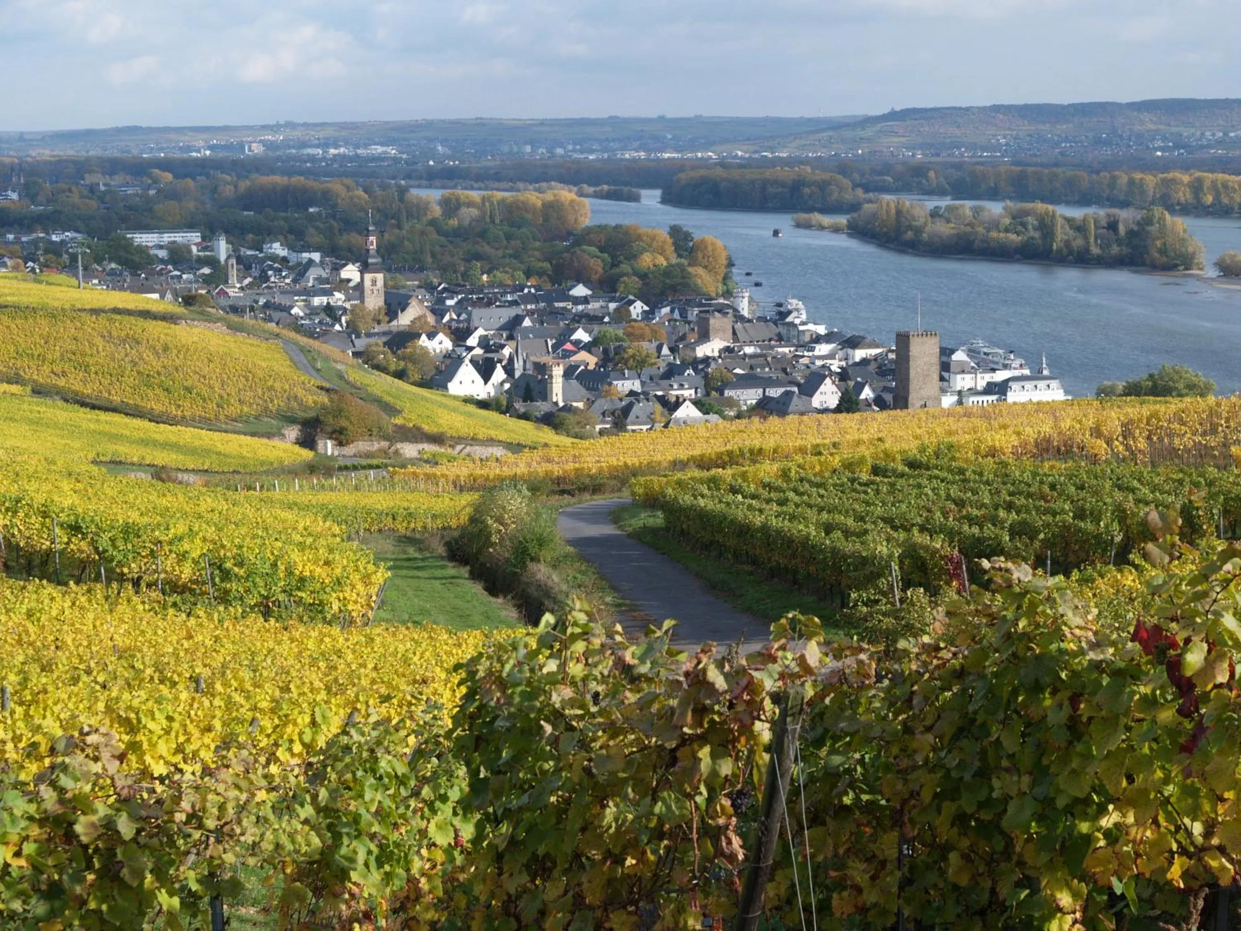 Area and facilities in Hotel Rüdesheimer Hof