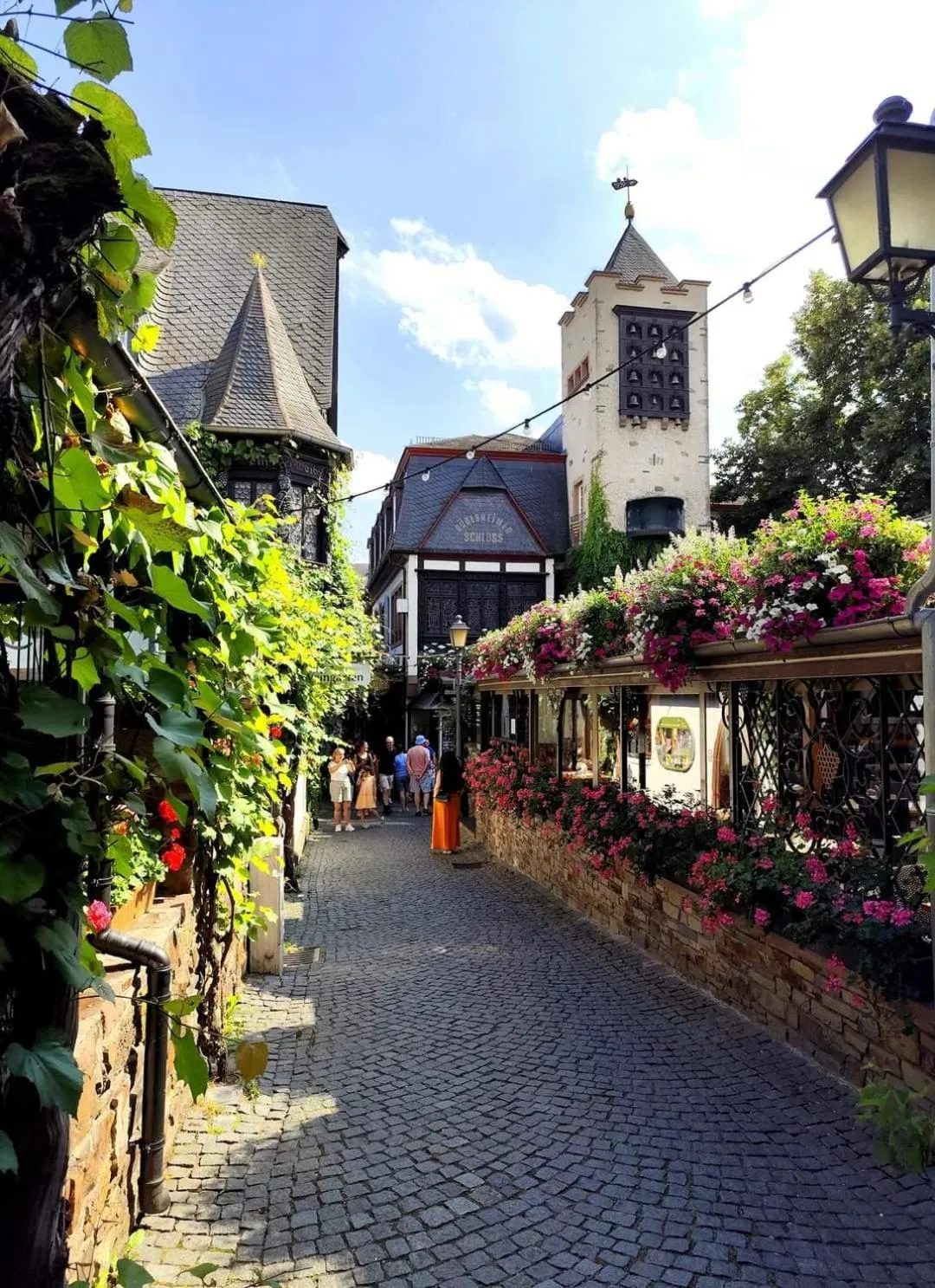 Area and facilities in Hotel Rüdesheimer Hof