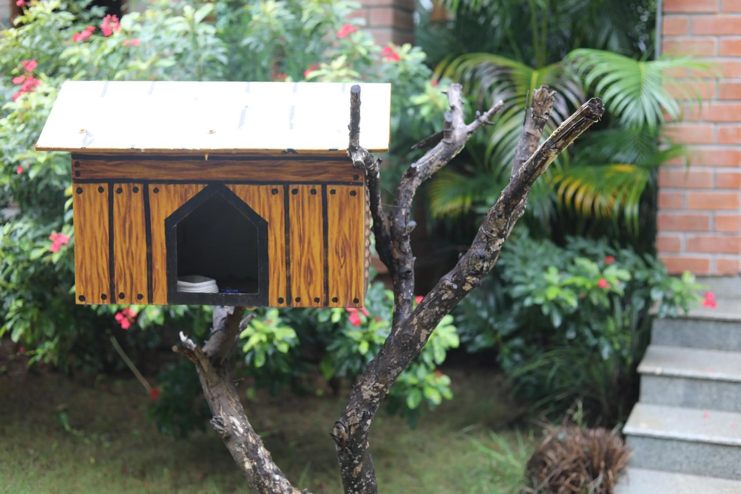 Facade/entrance in Brown Town Resort & Spa
