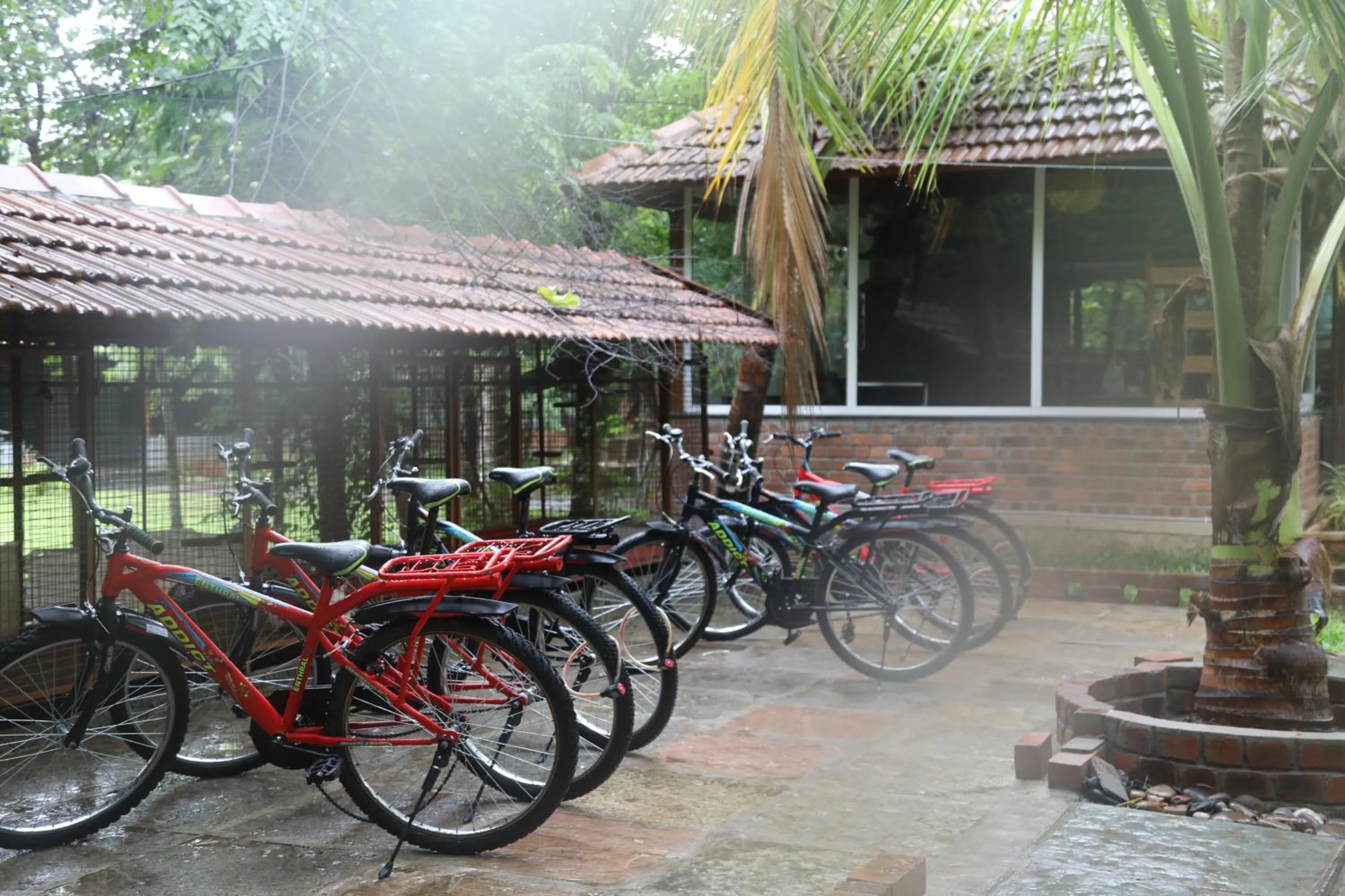 acessibility in Brown Town Resort & Spa