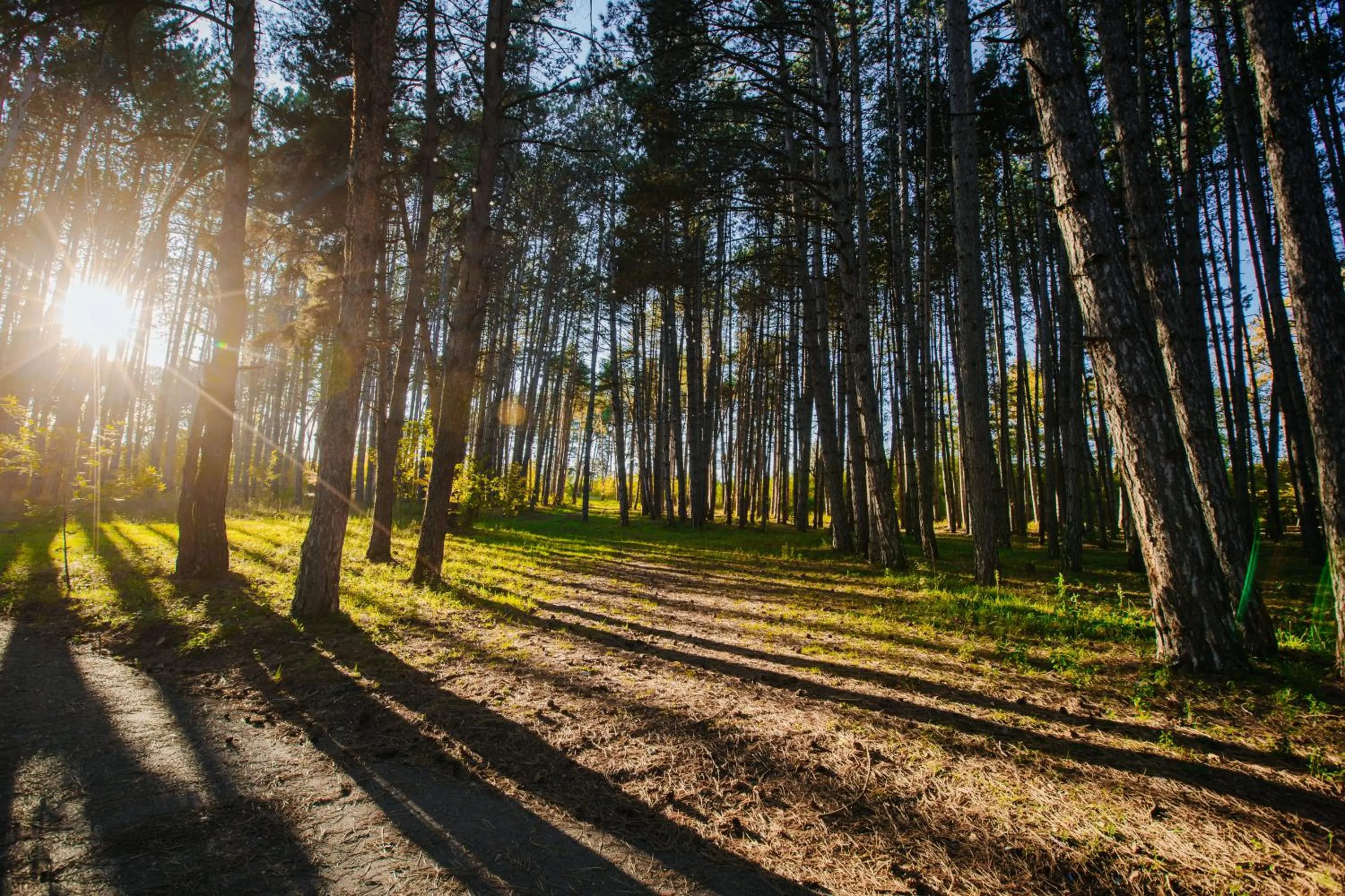 Day in Zuzumbo Resort & Spa