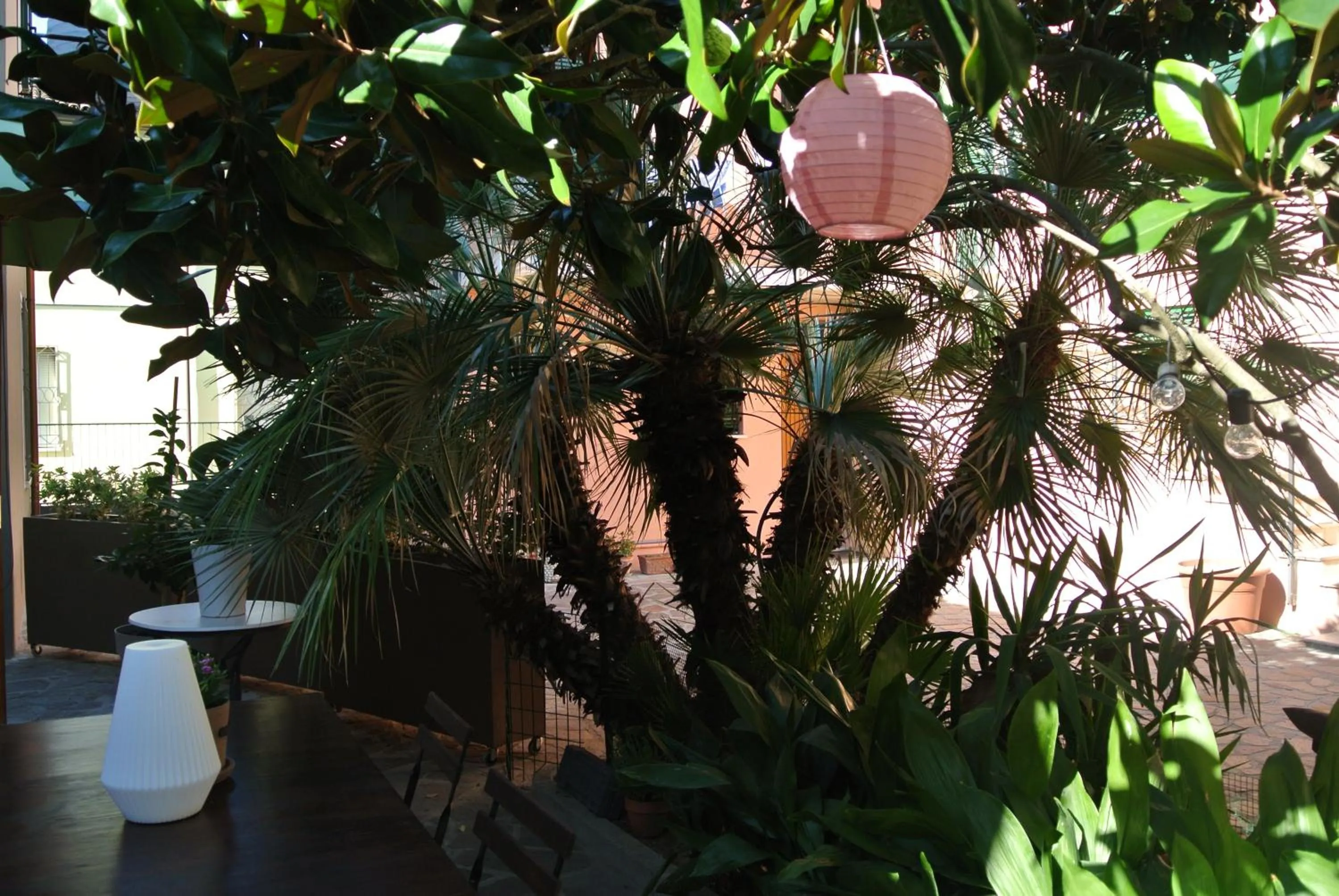 Property building in QuarantaVasi