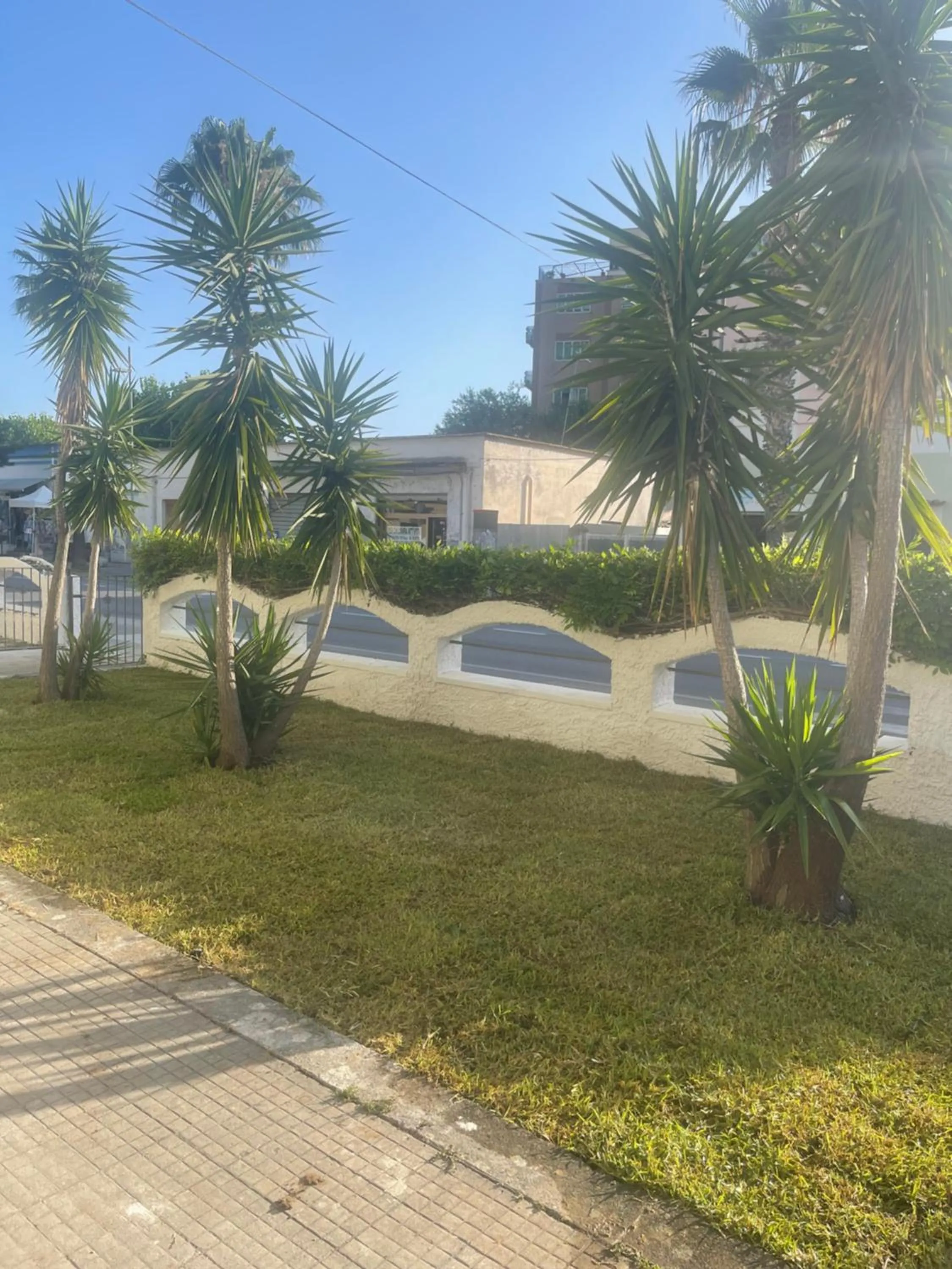Garden view in Grenada Home