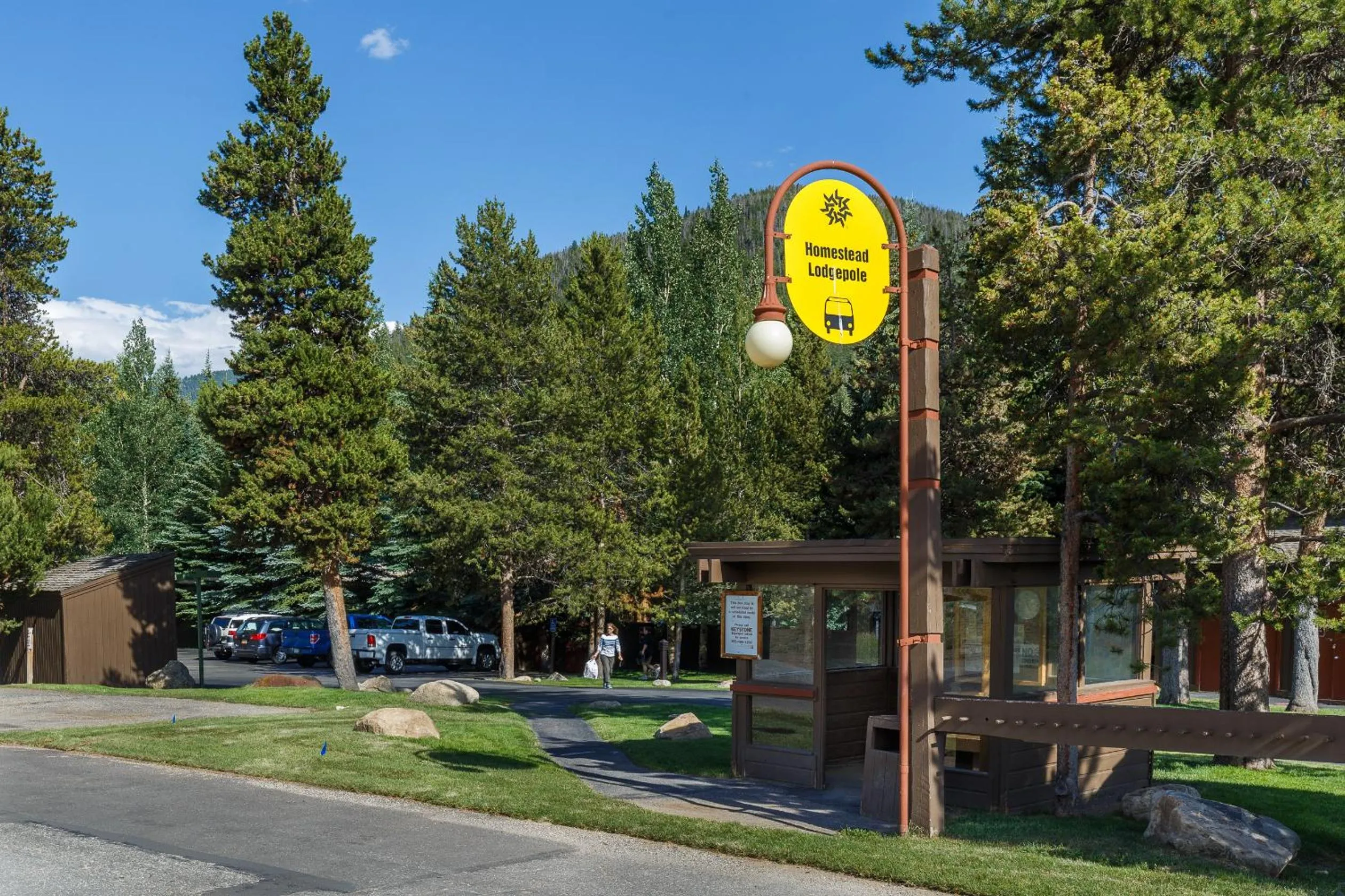 Other in Lodgepole 2008