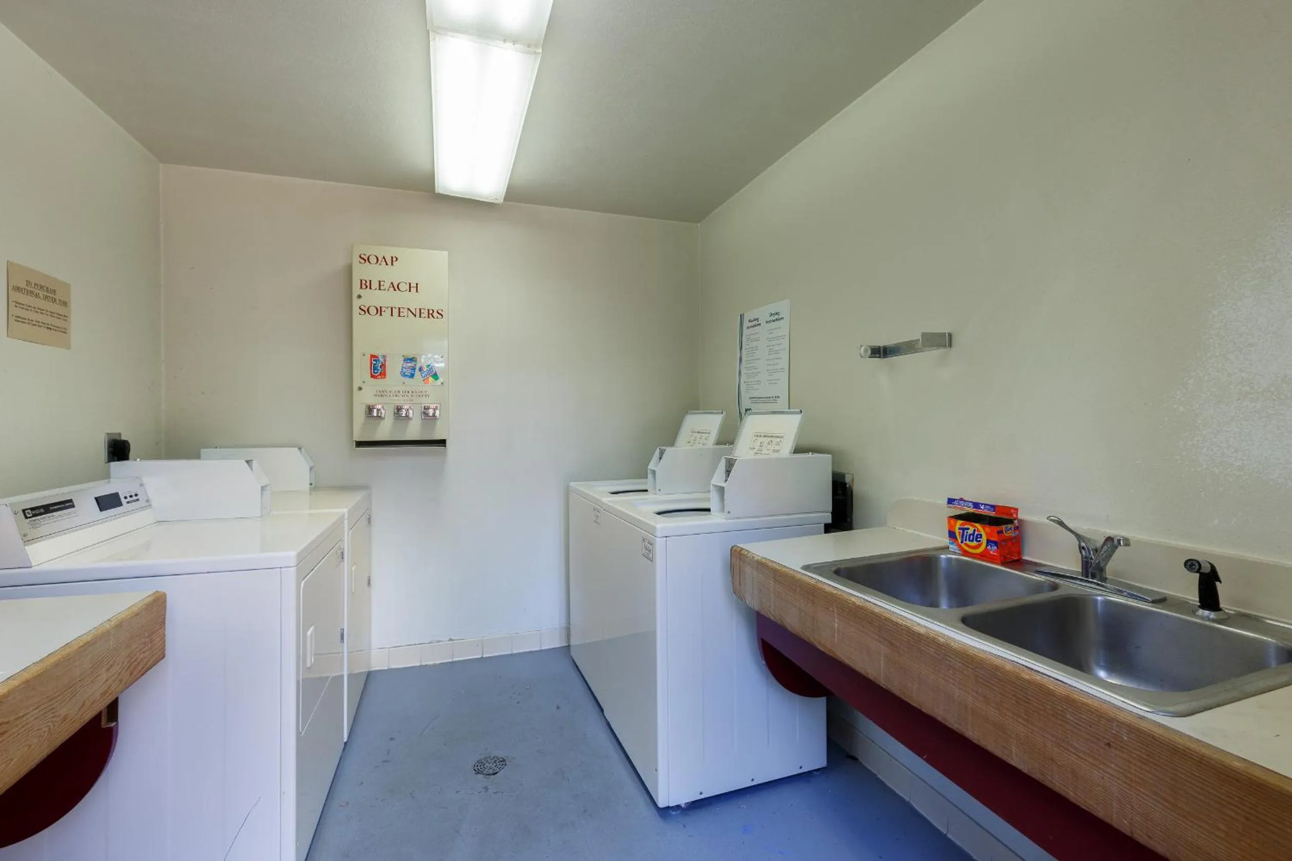 Other in Lodgepole 2008