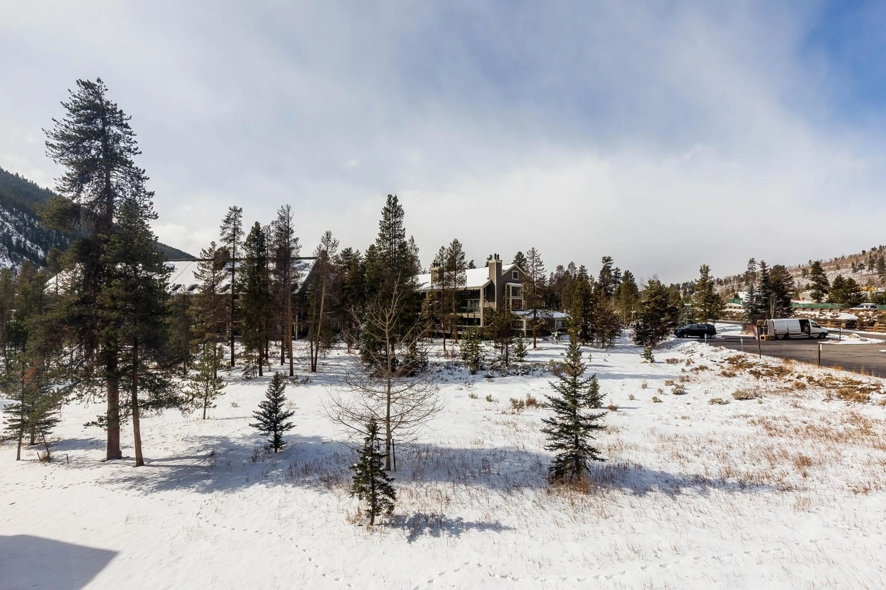 Other in Lodgepole 2008