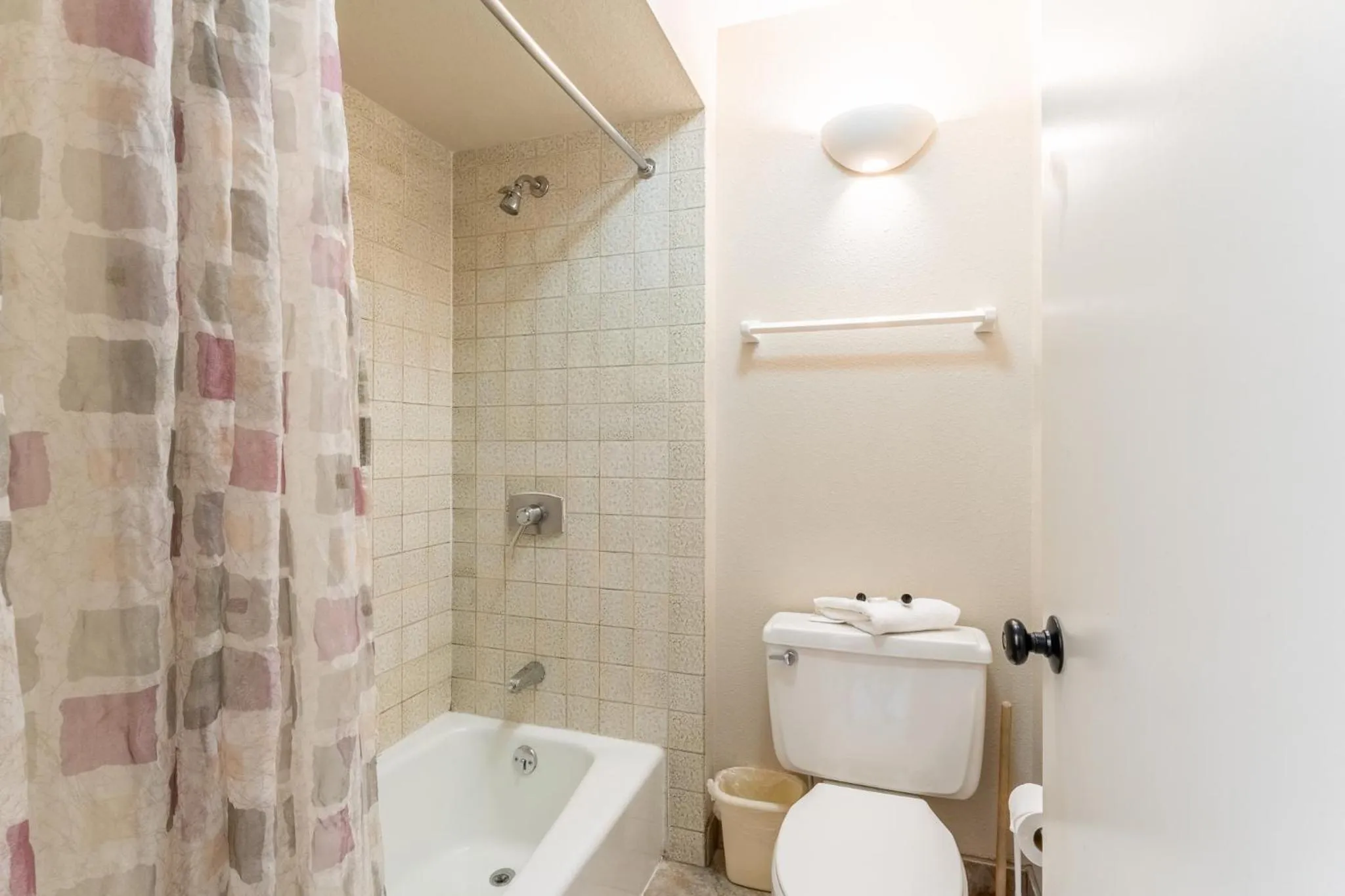 Other in Lodgepole 2008