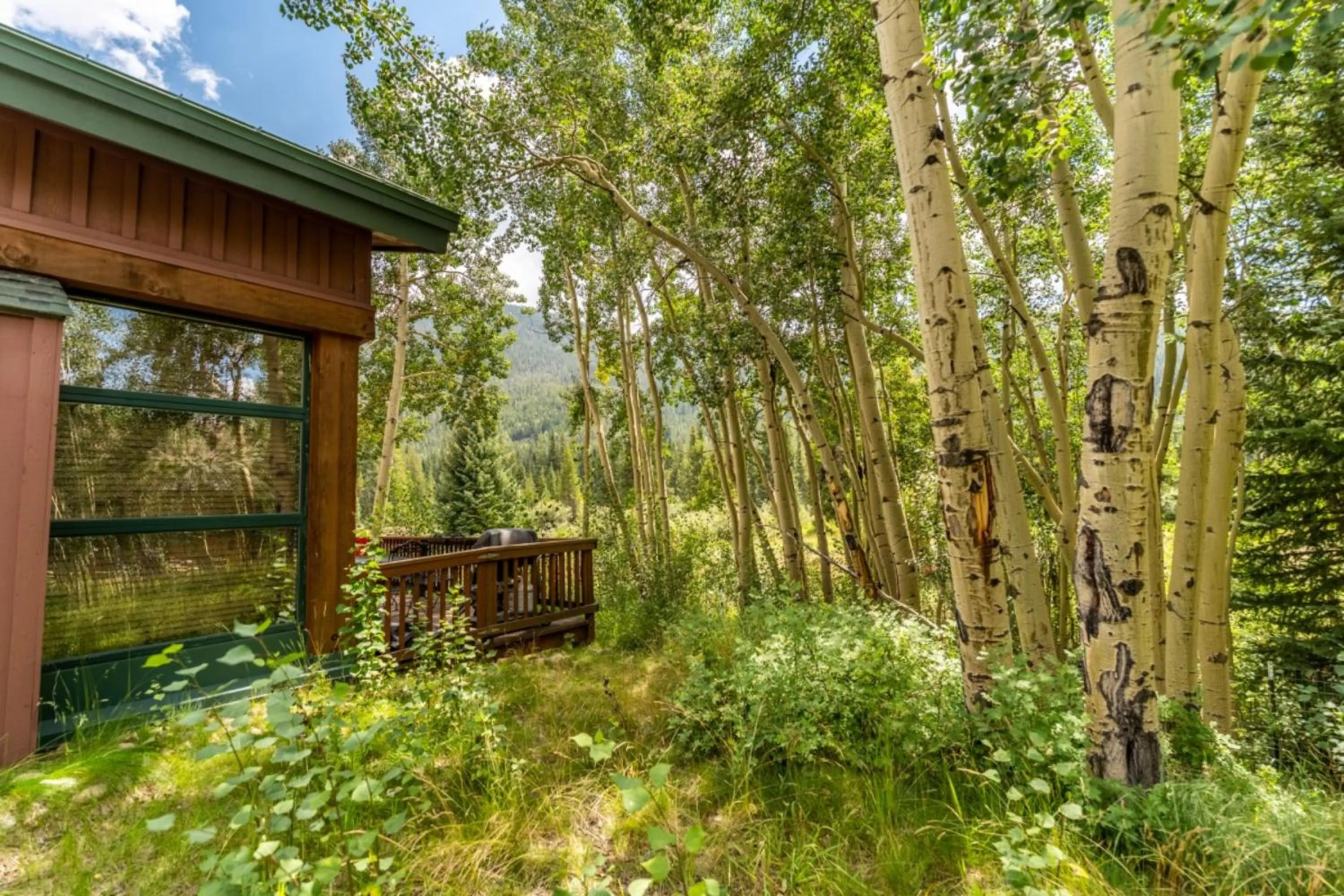 Natural landscape in Ski Tip by Summit County Mountain Retreats