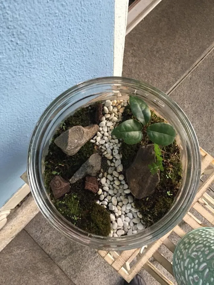 Decorative detail in Piccolo Hotel