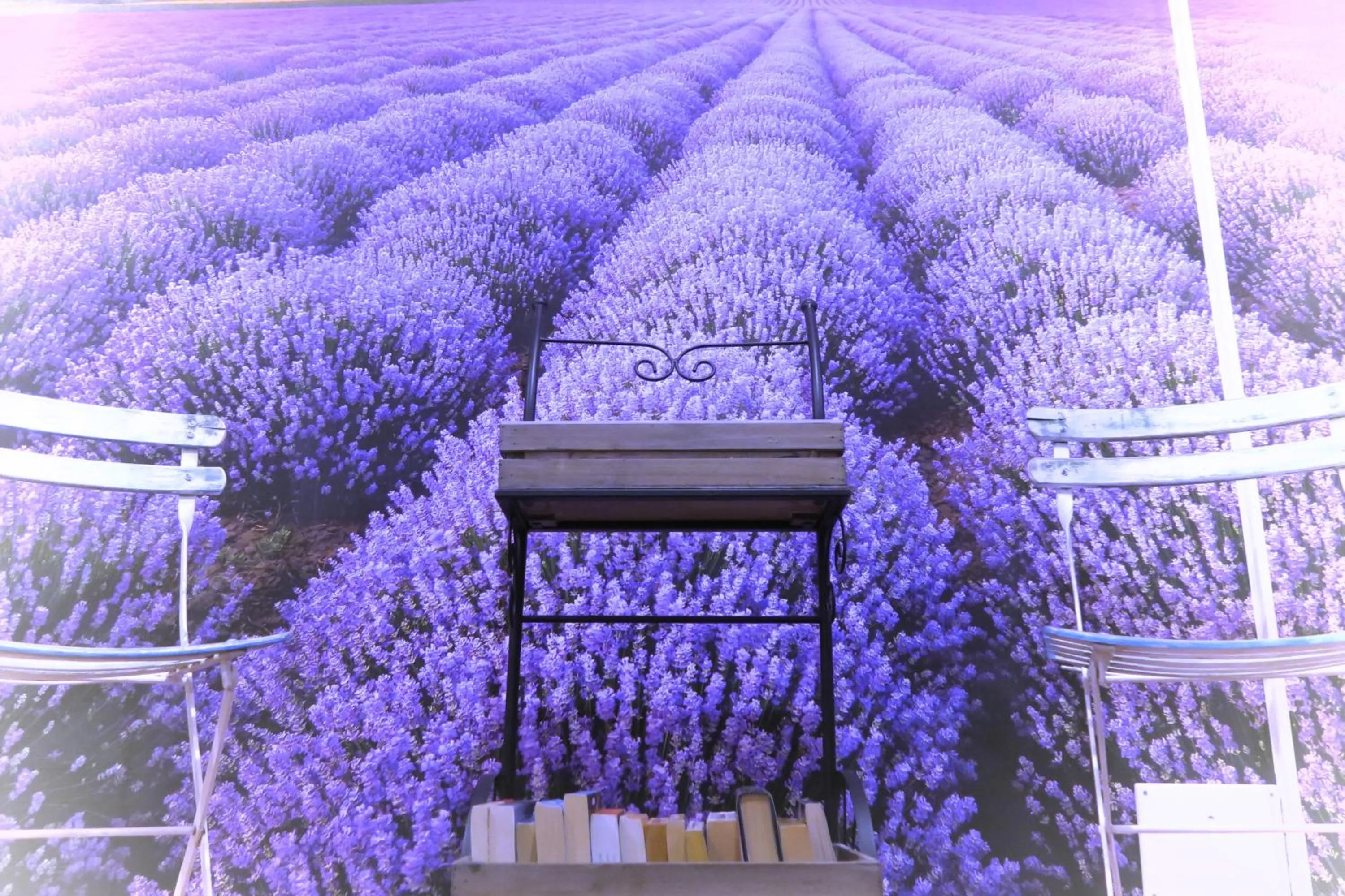 Decorative detail in Piccolo Hotel