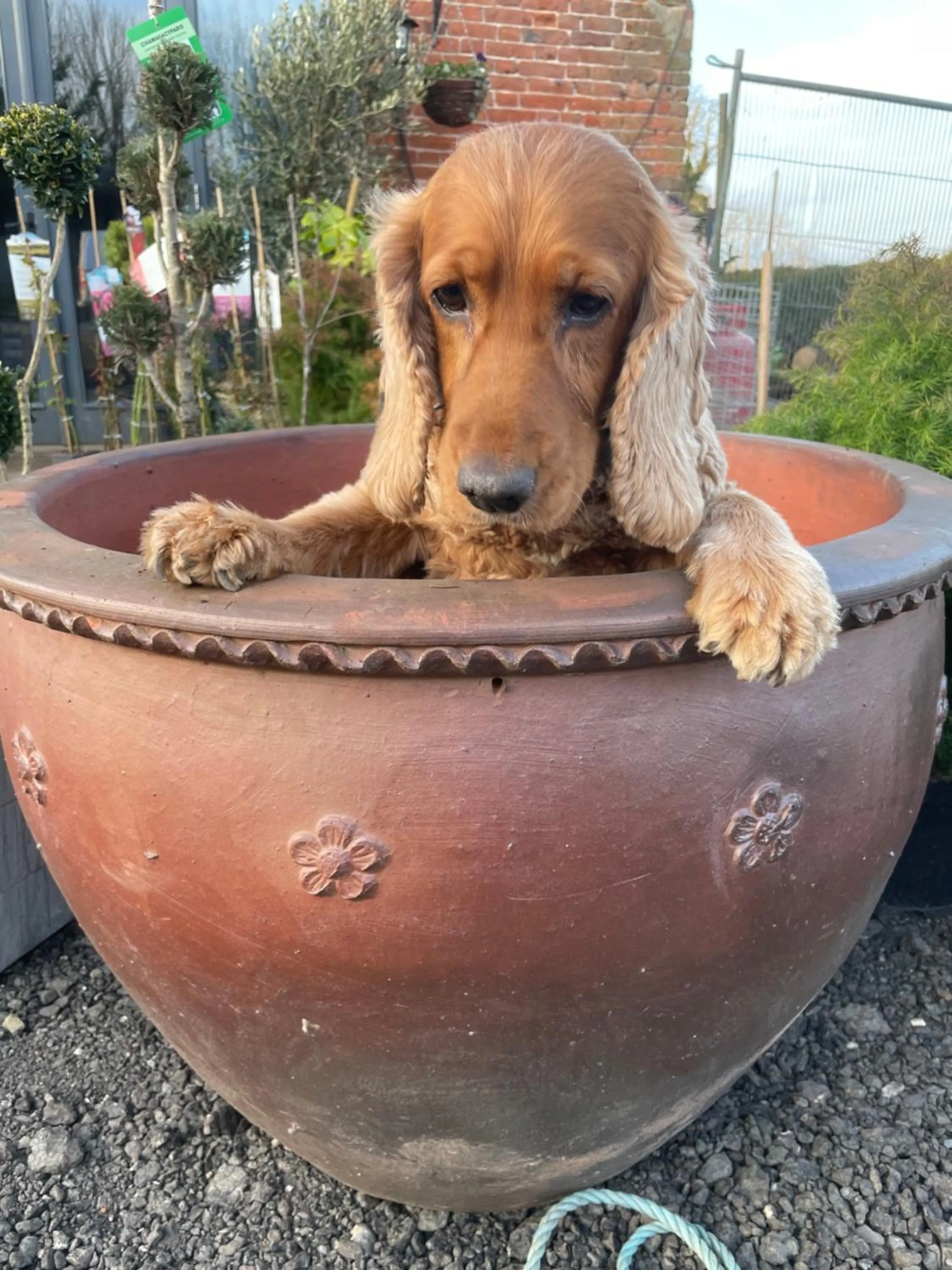 Day in Bumble Barn Bed & Breakfast