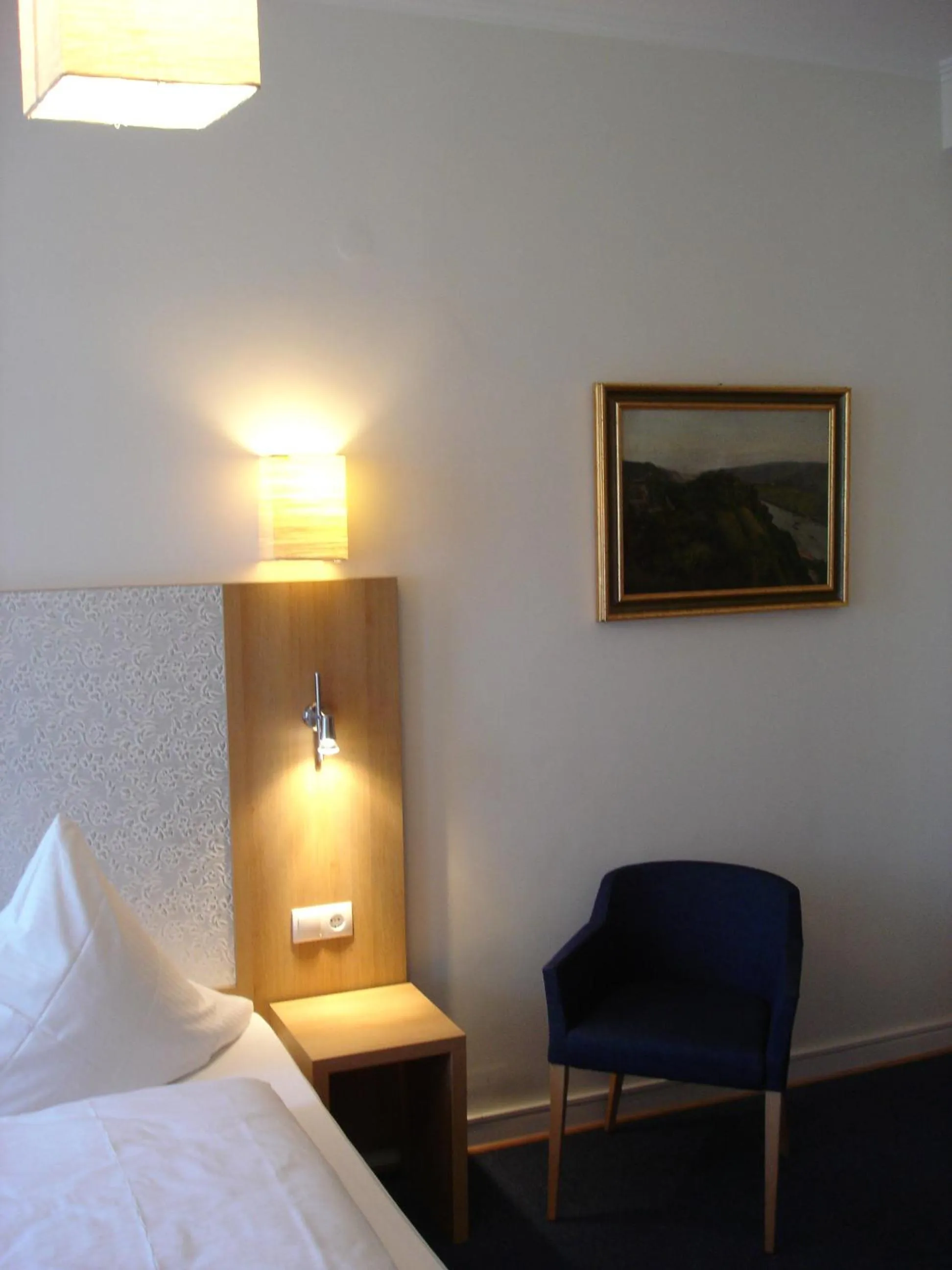 Balcony/Terrace in Rhein-Hotel