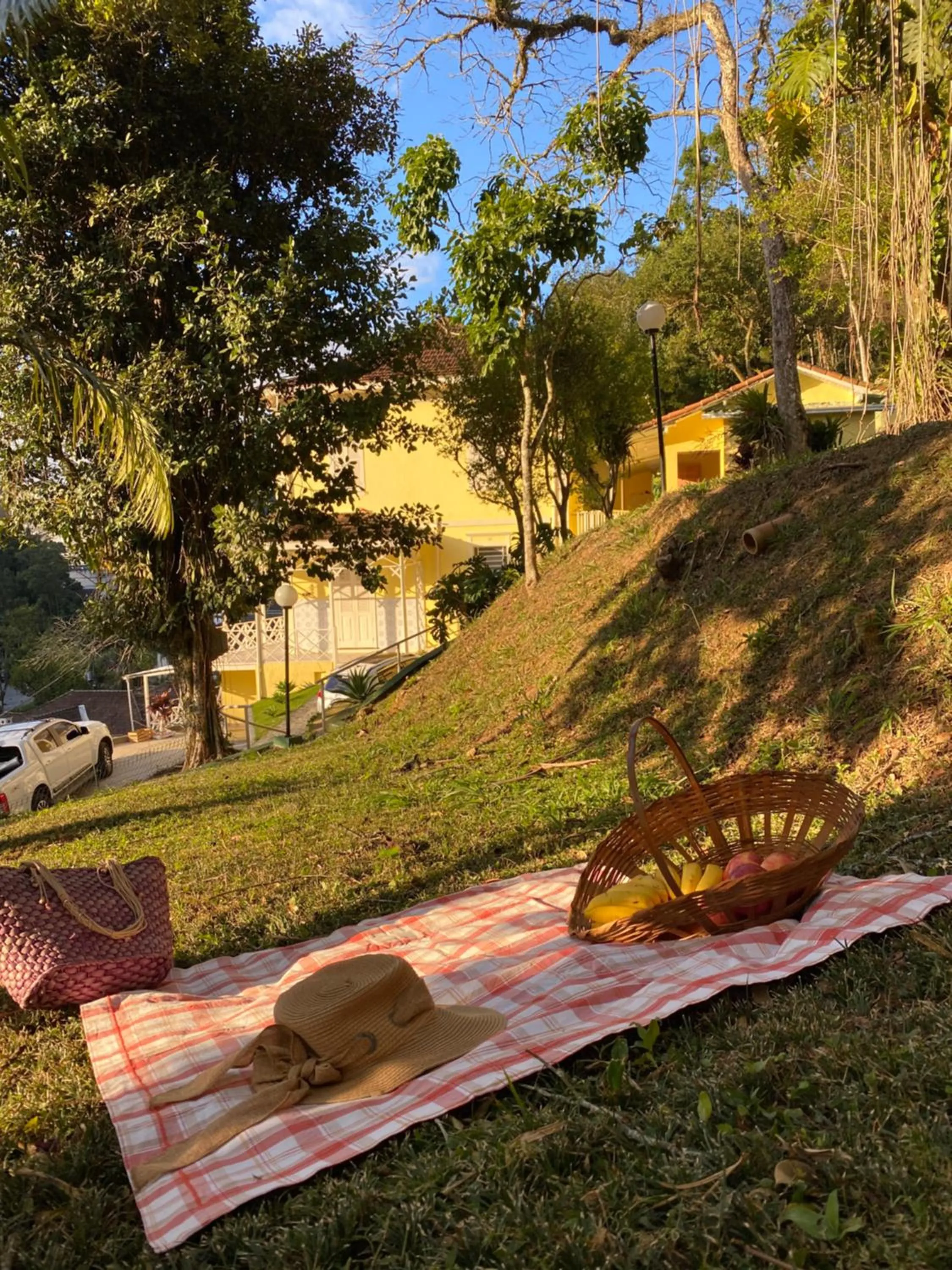 Decorative detail in Pousada Princesa Isabel - Visconde