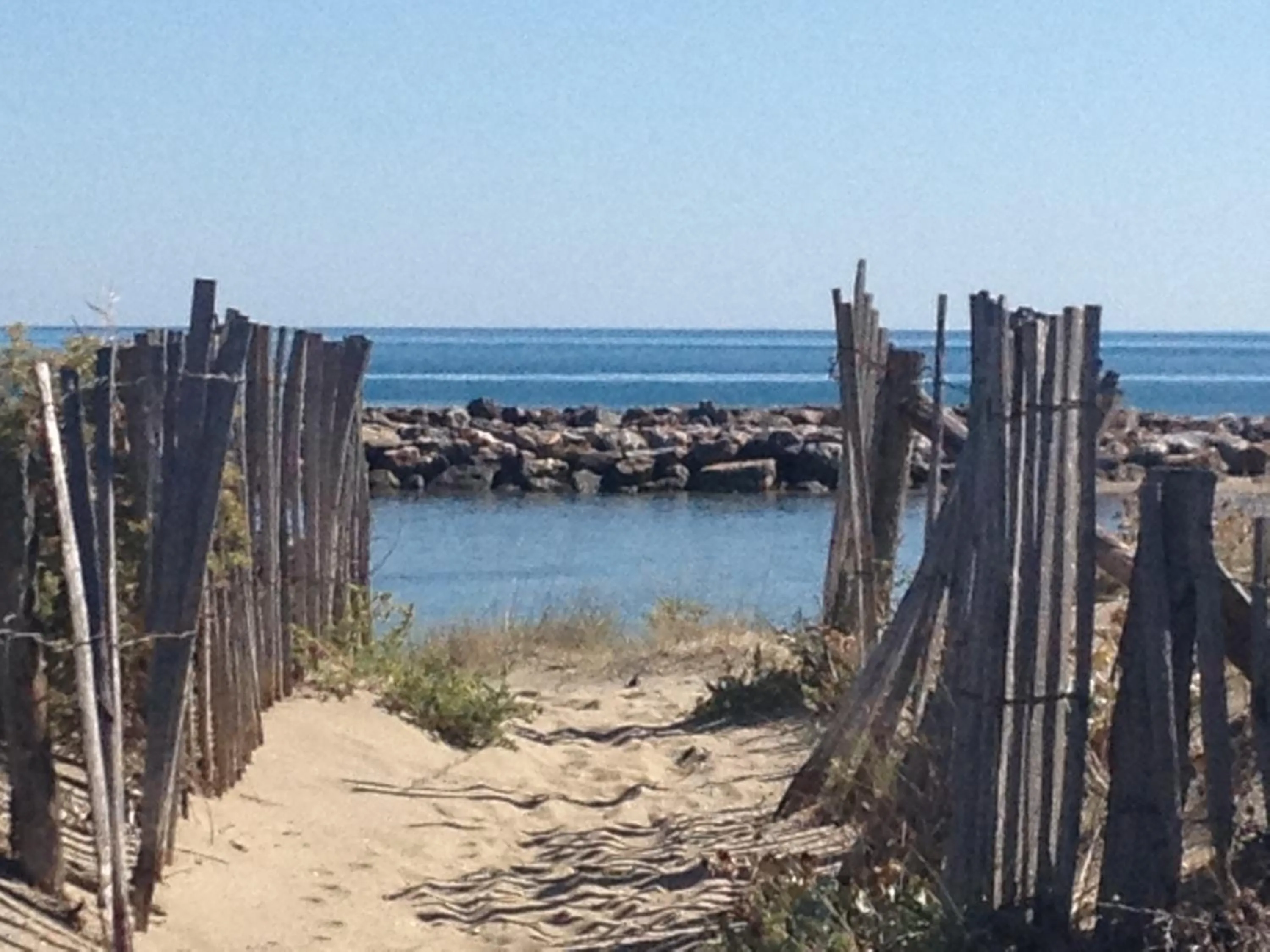 Area and facilities in Hotel De La Mer