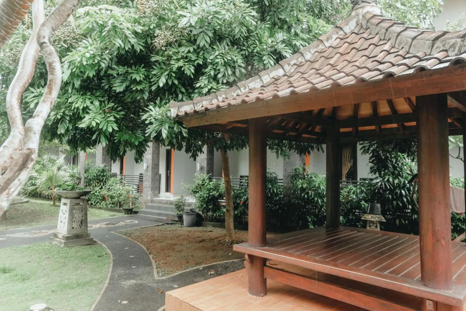 Garden in Hotel Diana 2