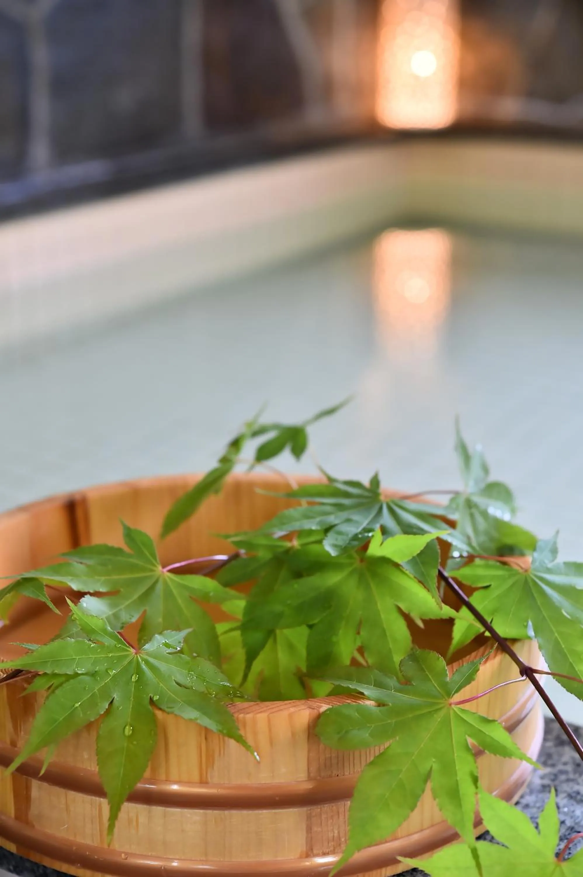 Takenoya Ryokan (Guest House Takenoya)