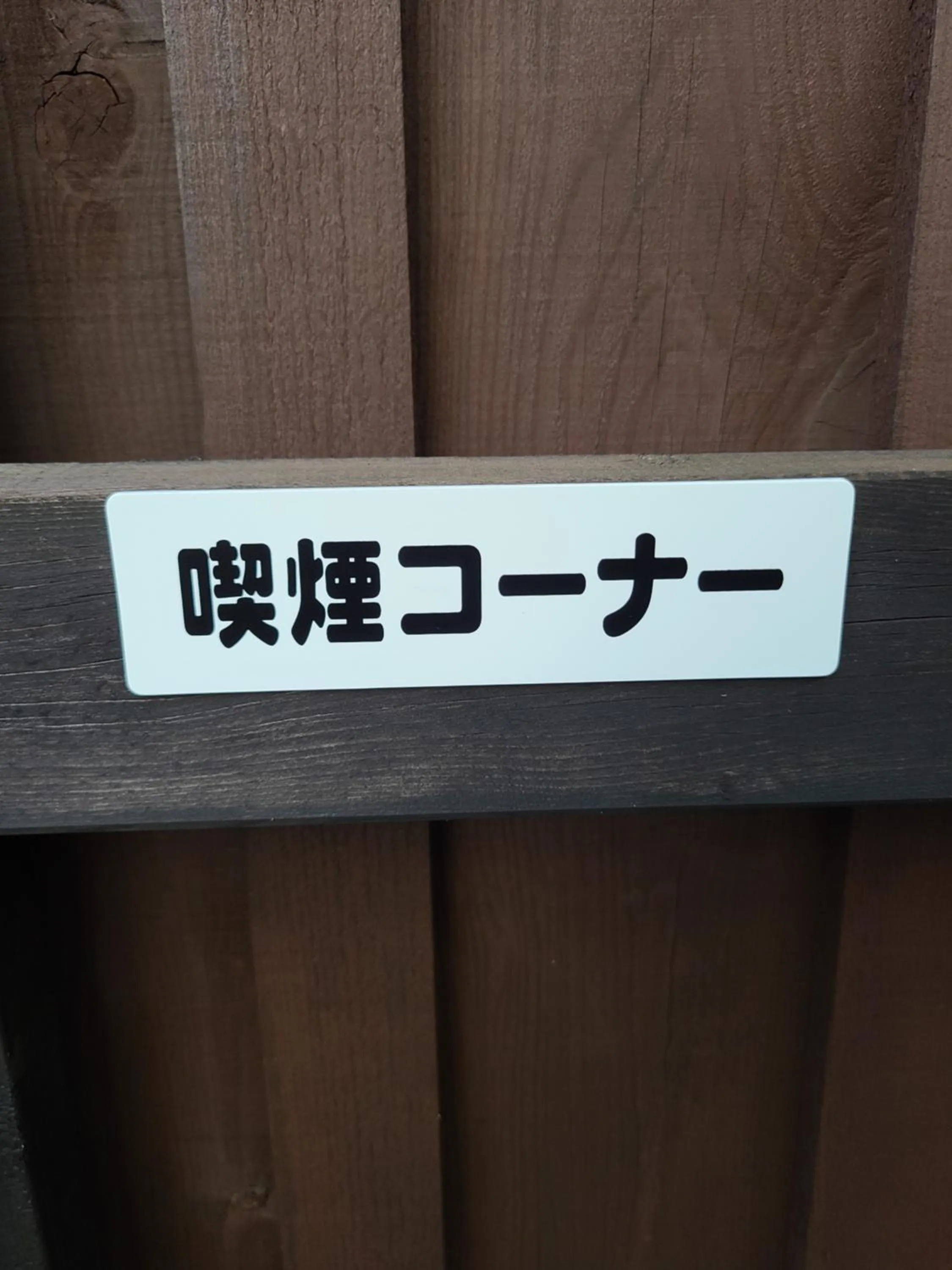 Area and facilities in Bluebird Hotel