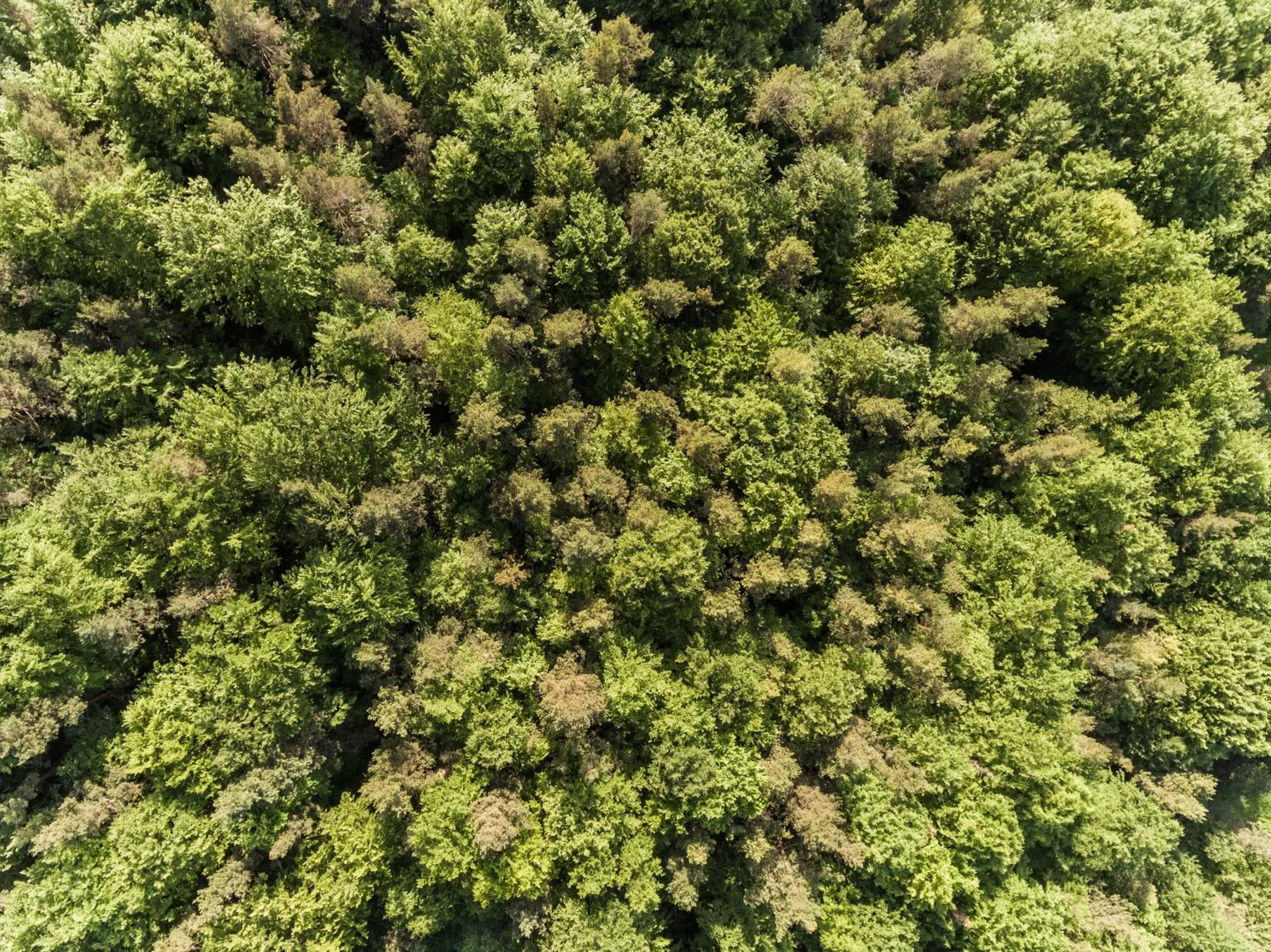 Natural landscape in Hotel Lindenhof Hubmersberg