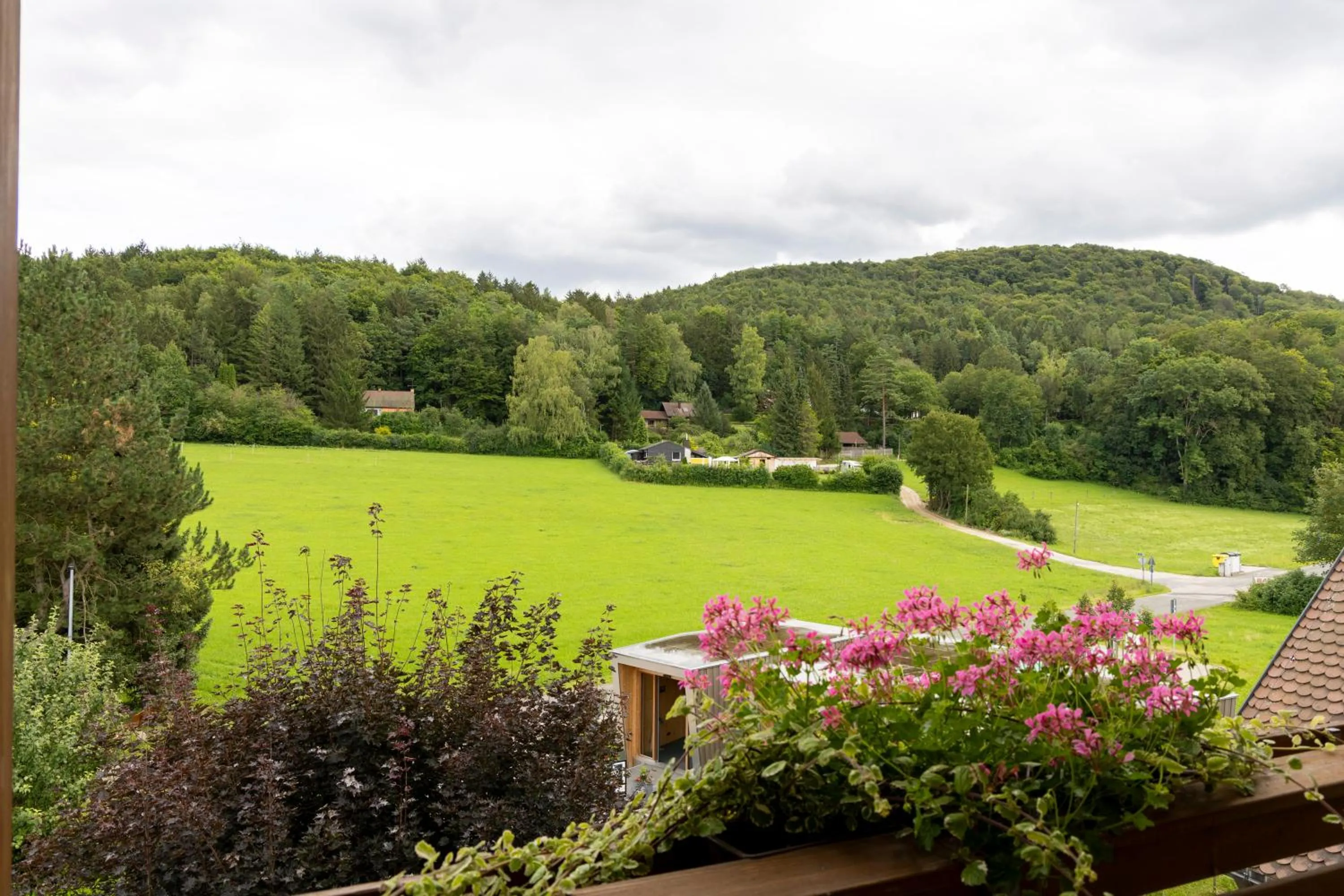 Natural landscape in Hotel Lindenhof Hubmersberg