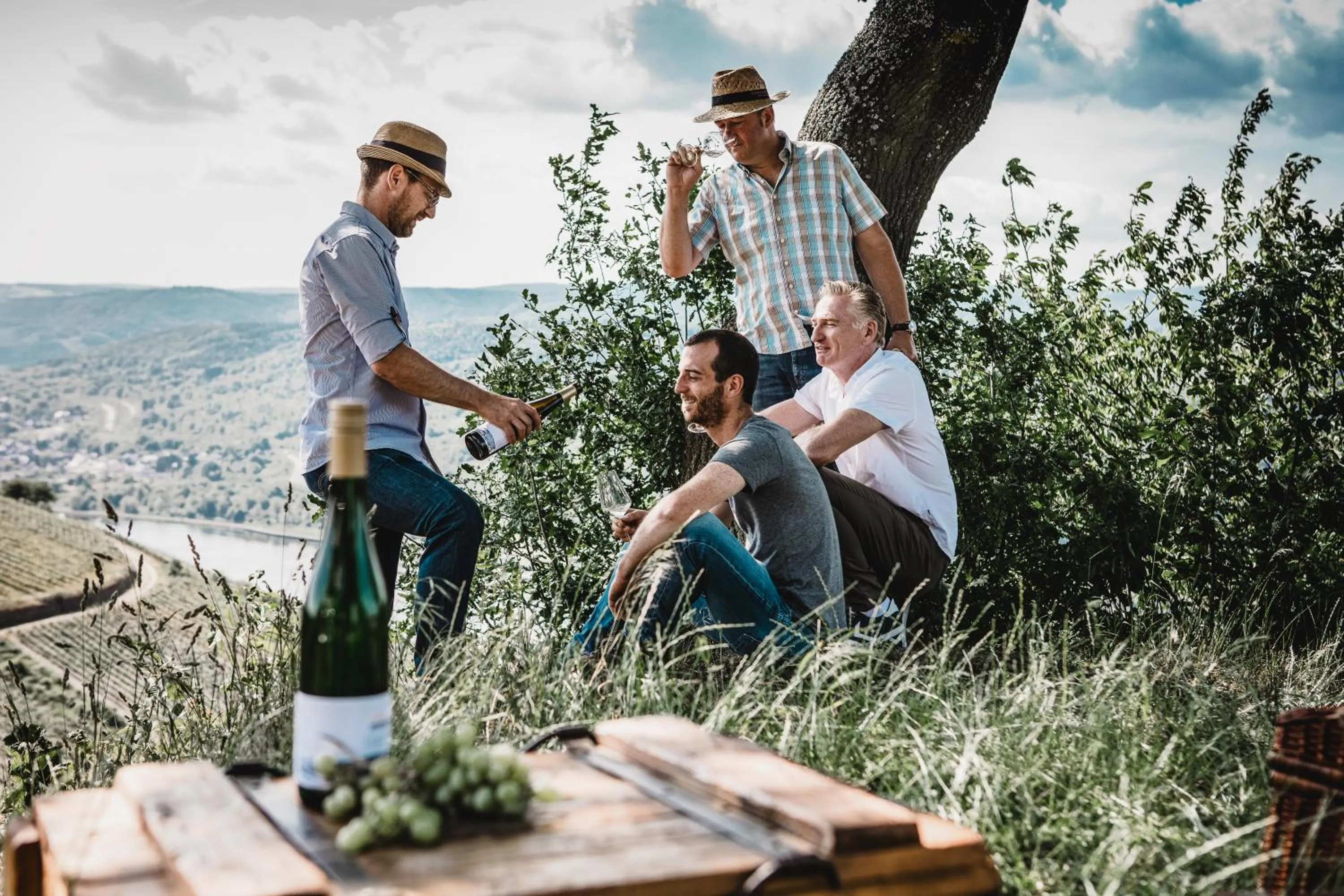 Natural landscape in Hotel Zeltinger-Hof - Gasthaus des Rieslings