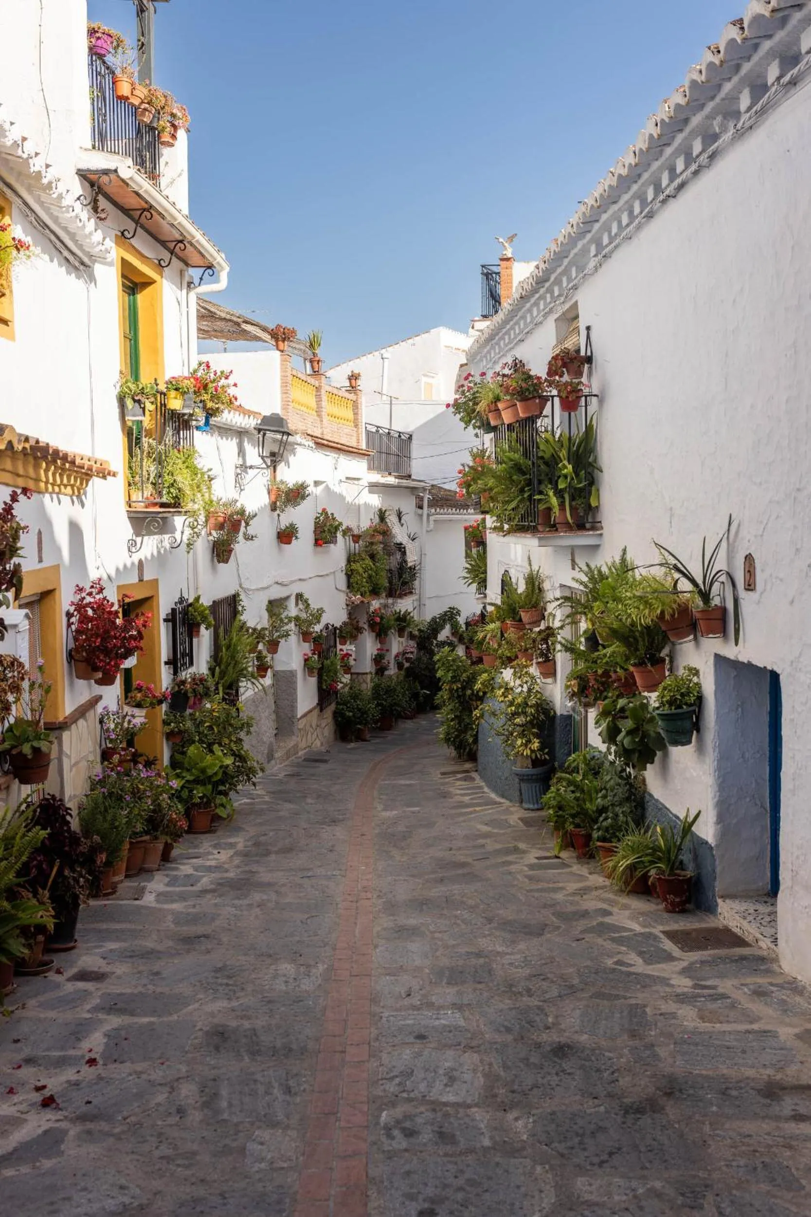 Neighbourhood in Olive & Ivy Guesthouse