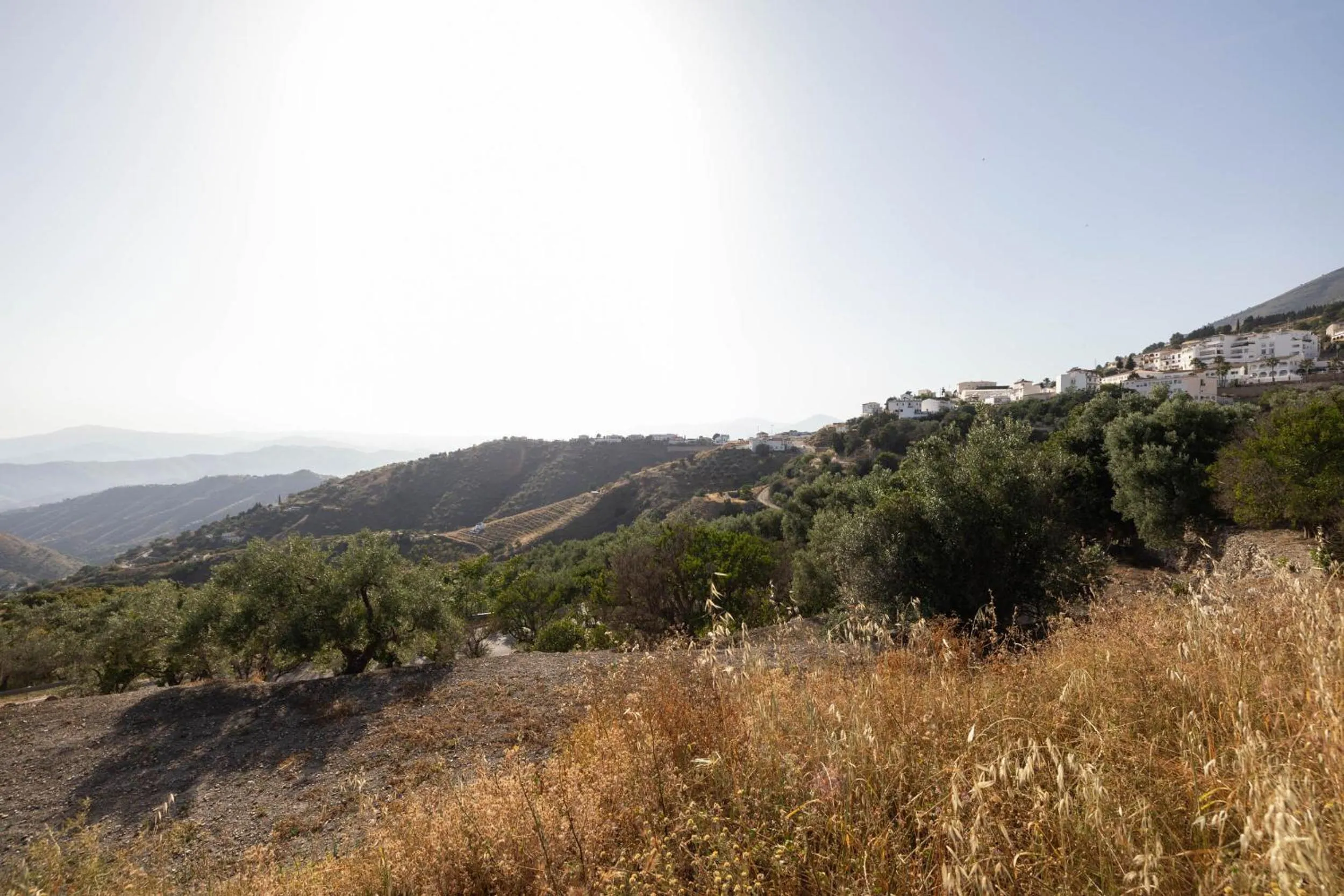 Neighbourhood in Olive & Ivy Guesthouse