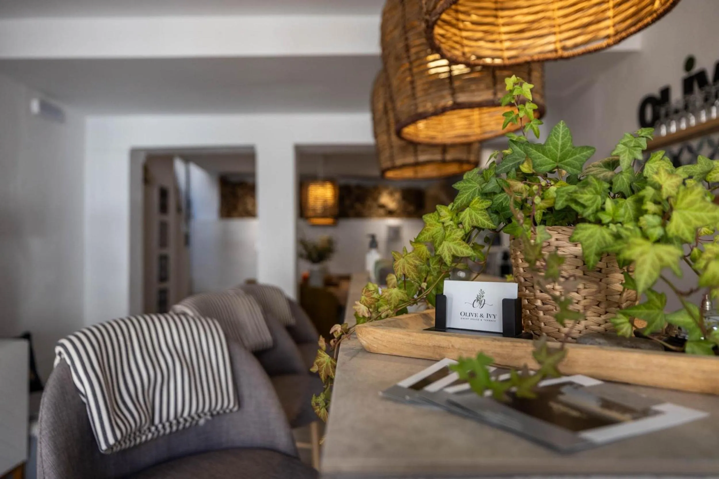 Lounge or bar in Olive & Ivy Guesthouse