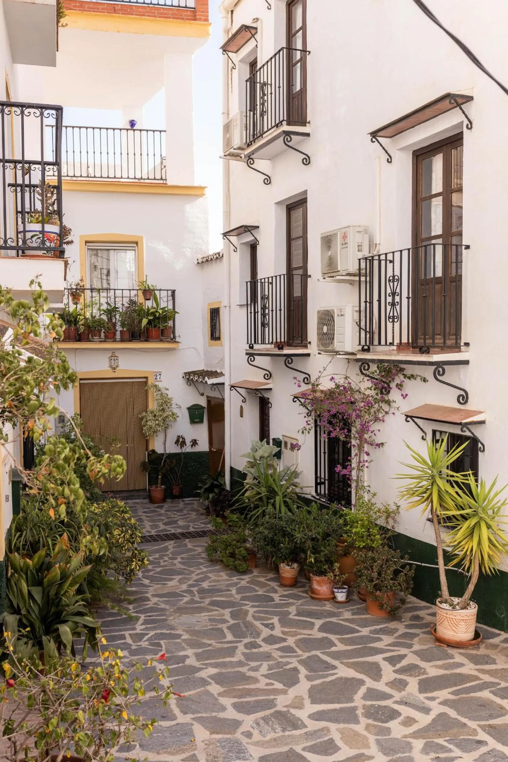 Neighbourhood in Olive & Ivy Guesthouse