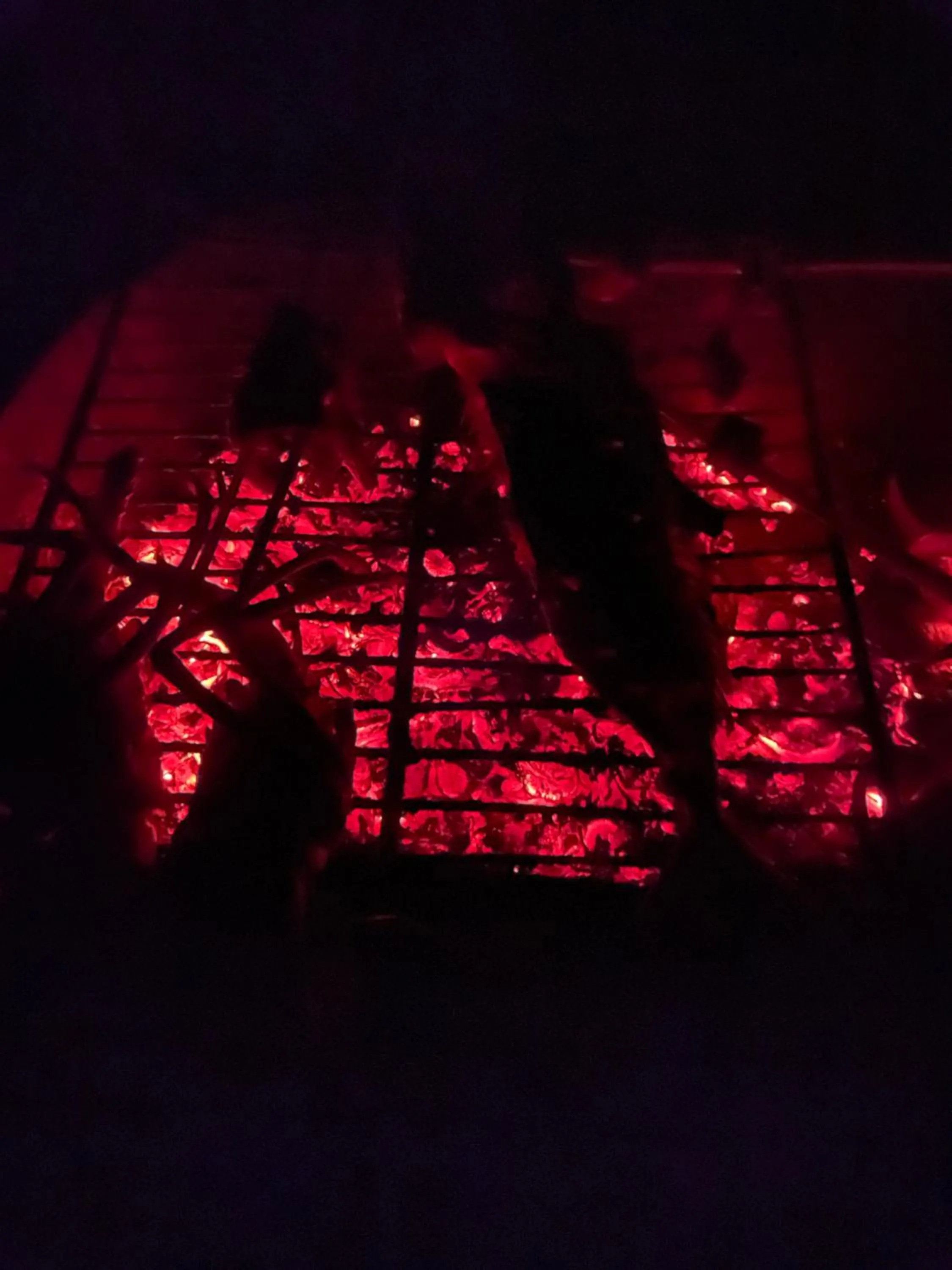 BBQ facilities in Mandhoo Inn
