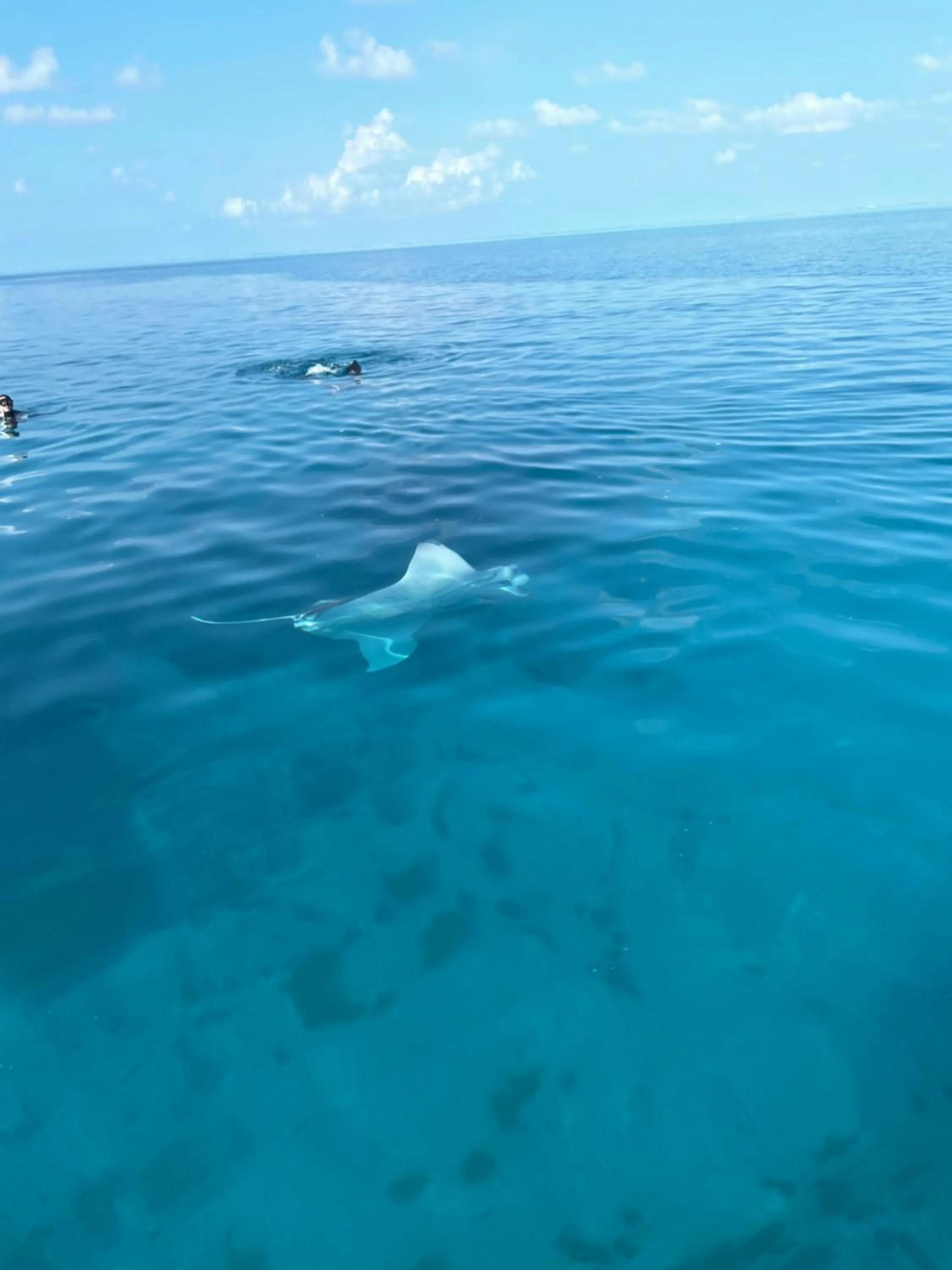 Snorkeling in Mandhoo Inn