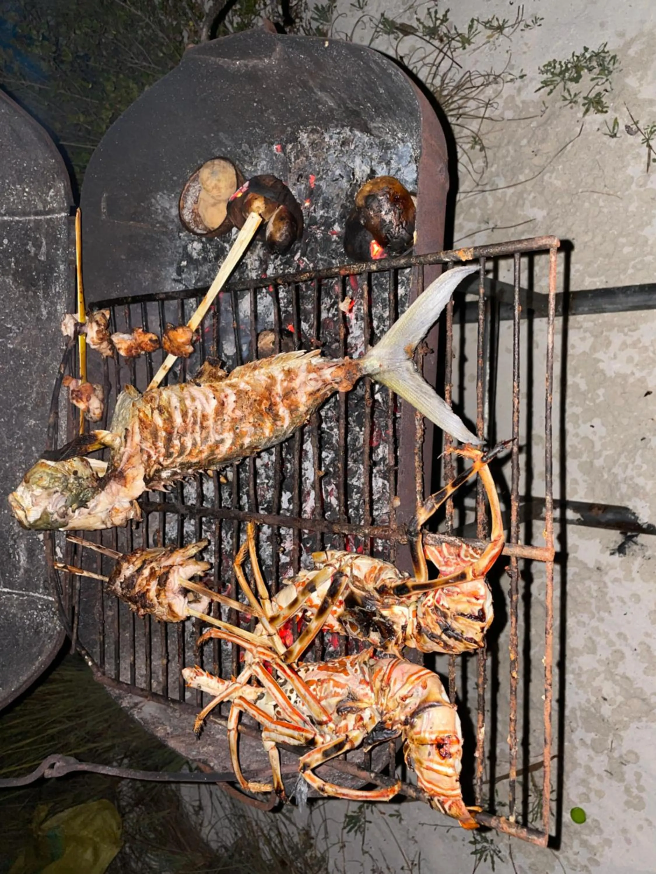 BBQ facilities in Mandhoo Inn