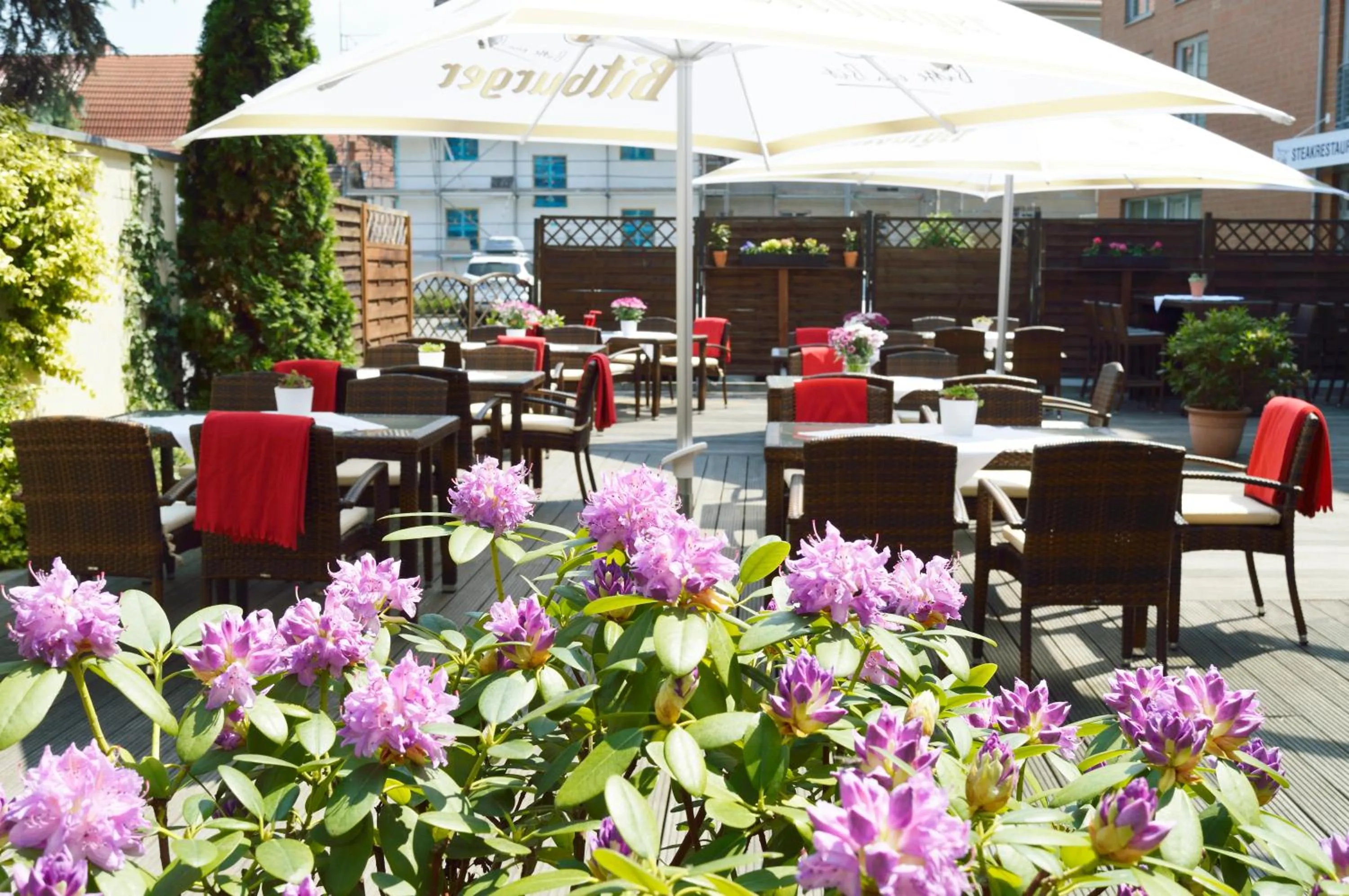 Restaurant/places to eat in Best Western Hotel Halle-Merseburg