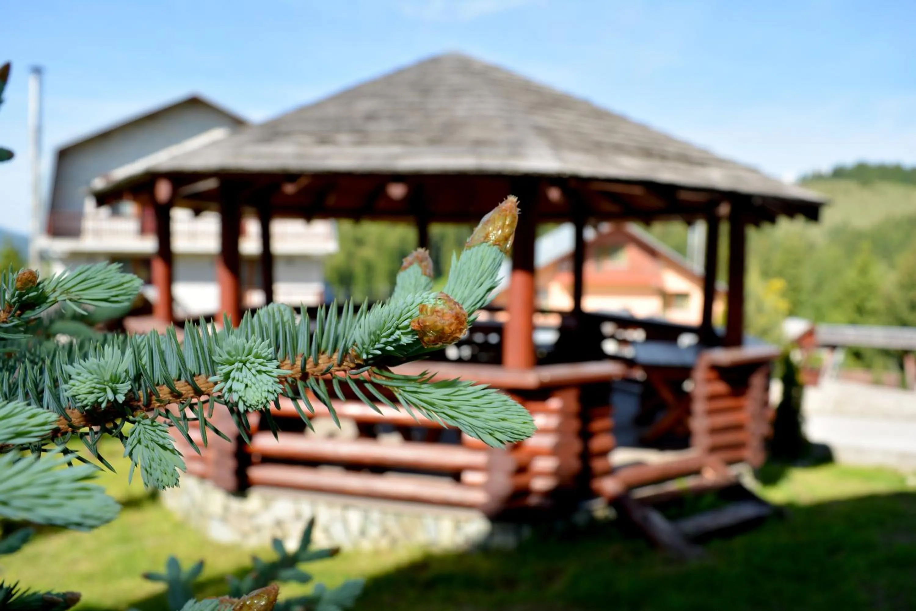 Property building in Resort EuroPark Fundata