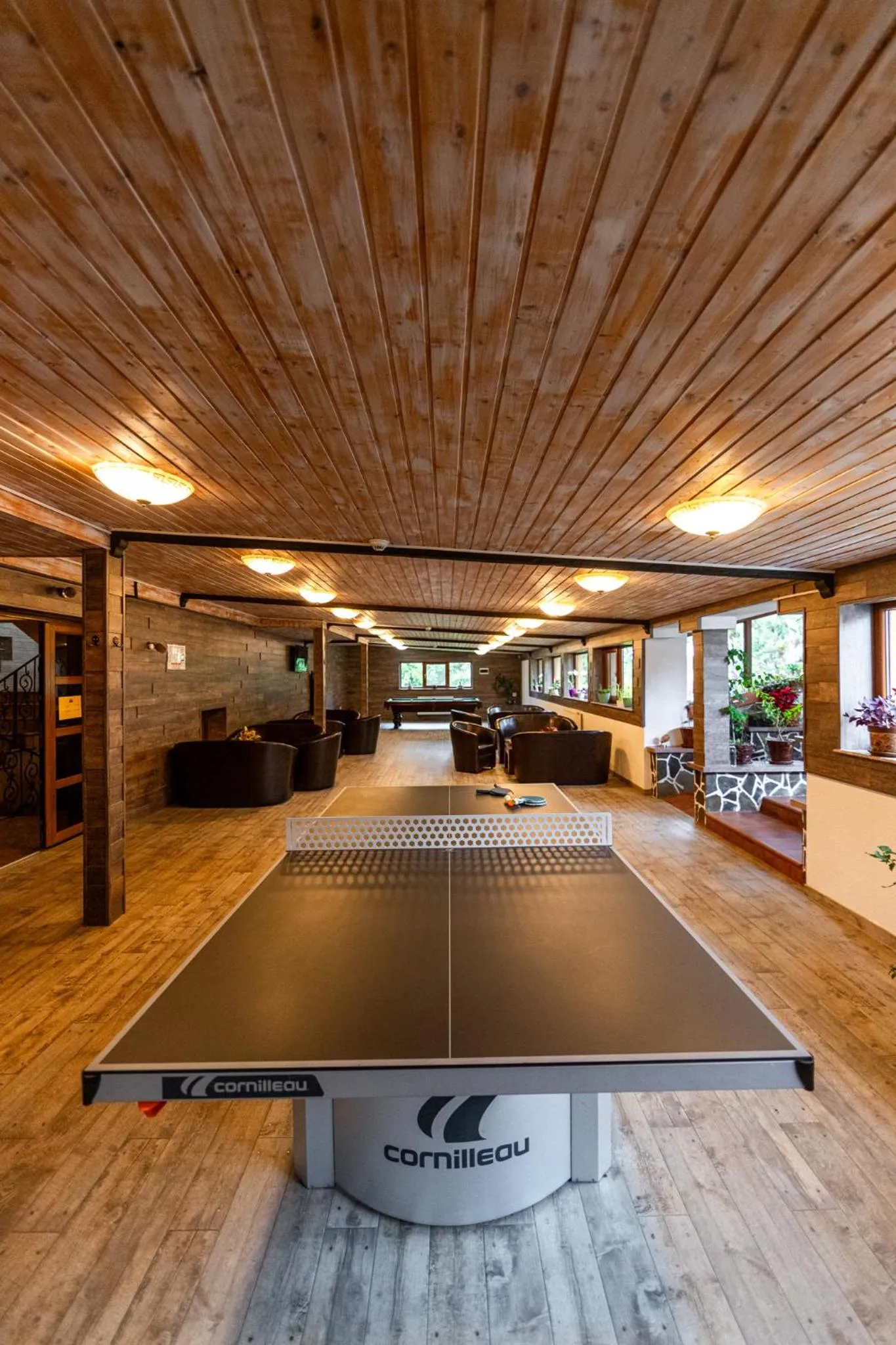 Table tennis in Resort EuroPark Fundata