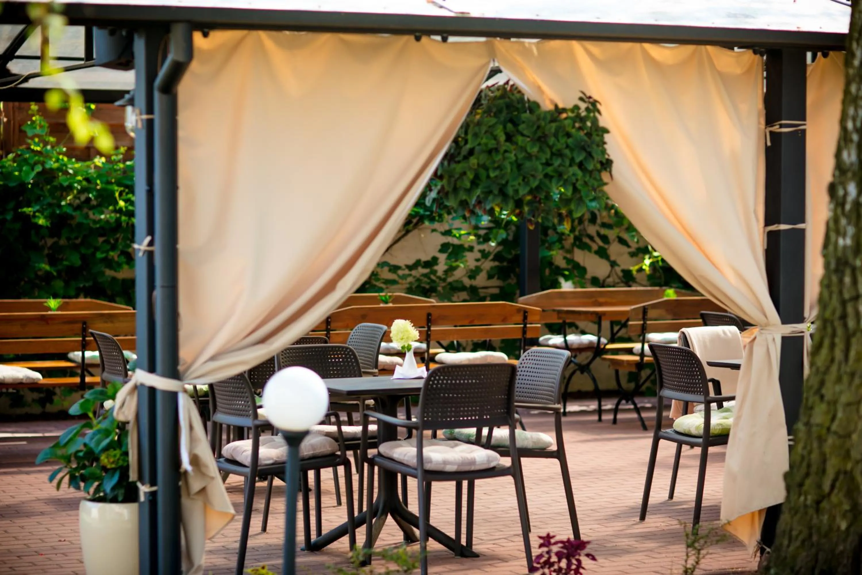 Garden in Hotel Onyx