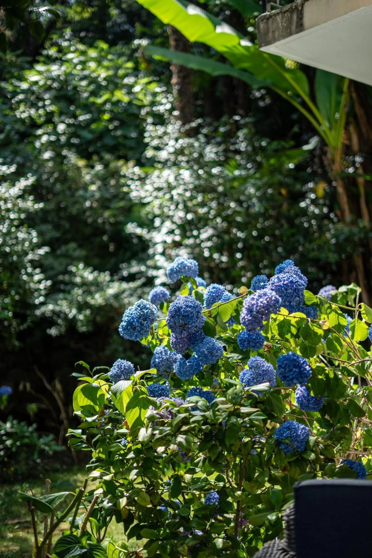 Easy Stay by Hotel La Perla