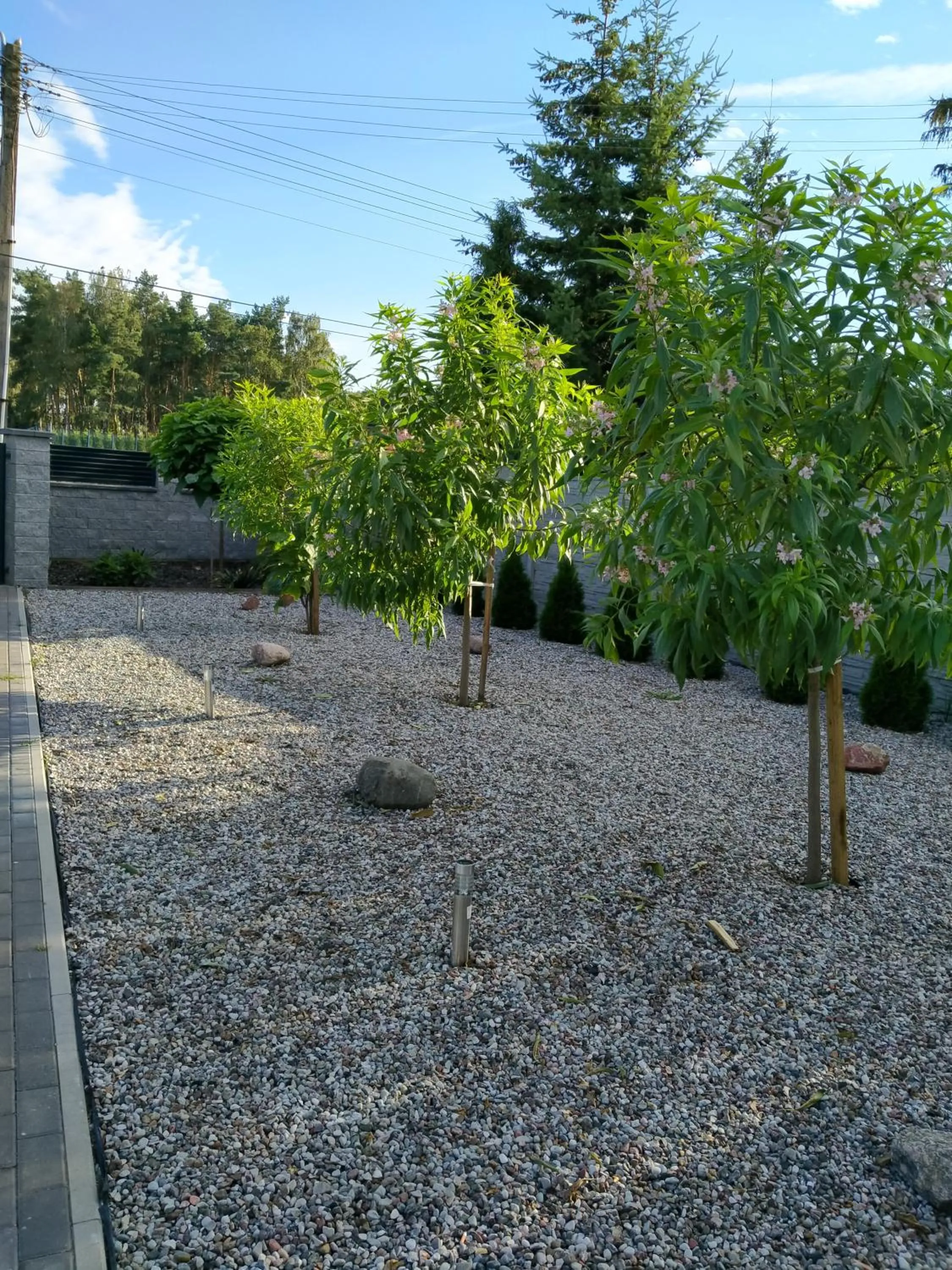 Garden in Domki całoroczne Panamera