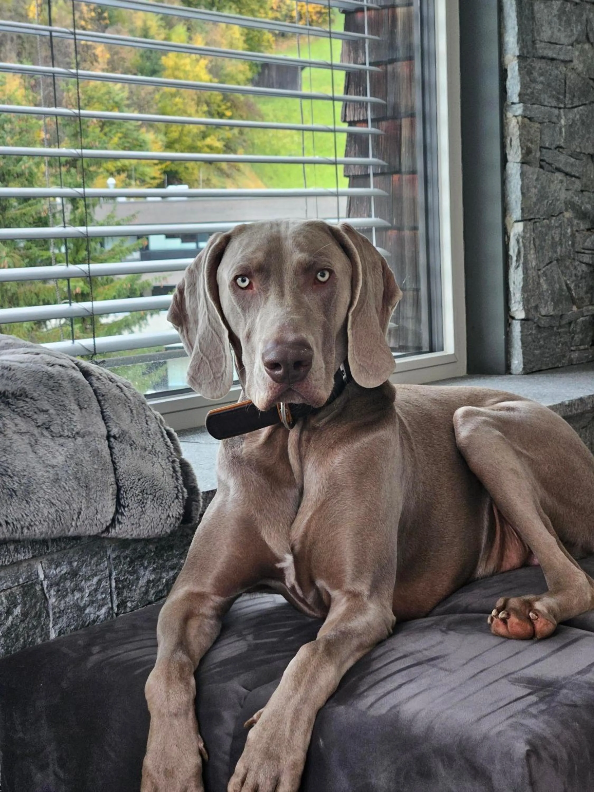 ALMMONTE PRÄCLARUM SUITES - Casual Boutique Hotel