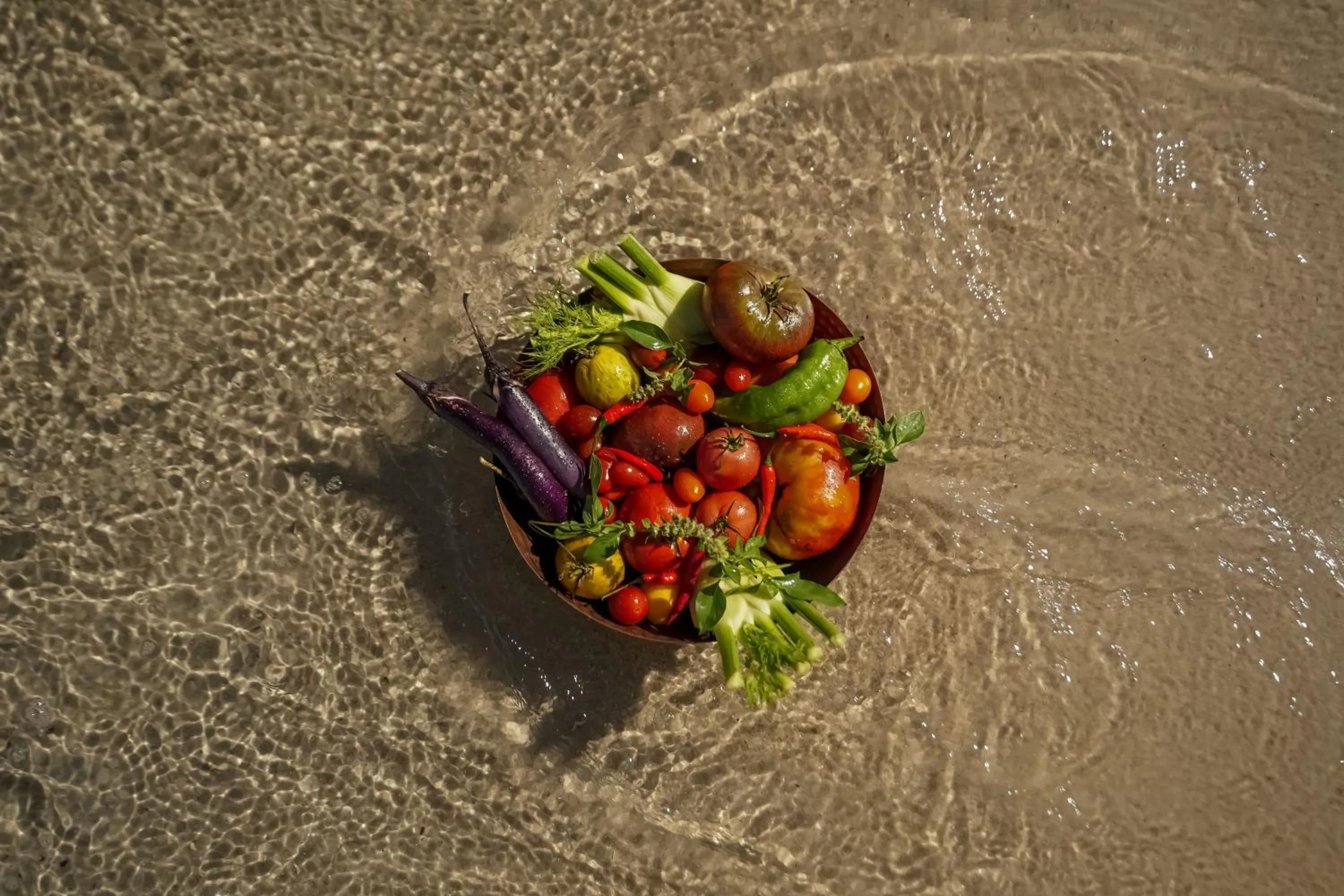 Restaurant/places to eat in Hotel Plein Large