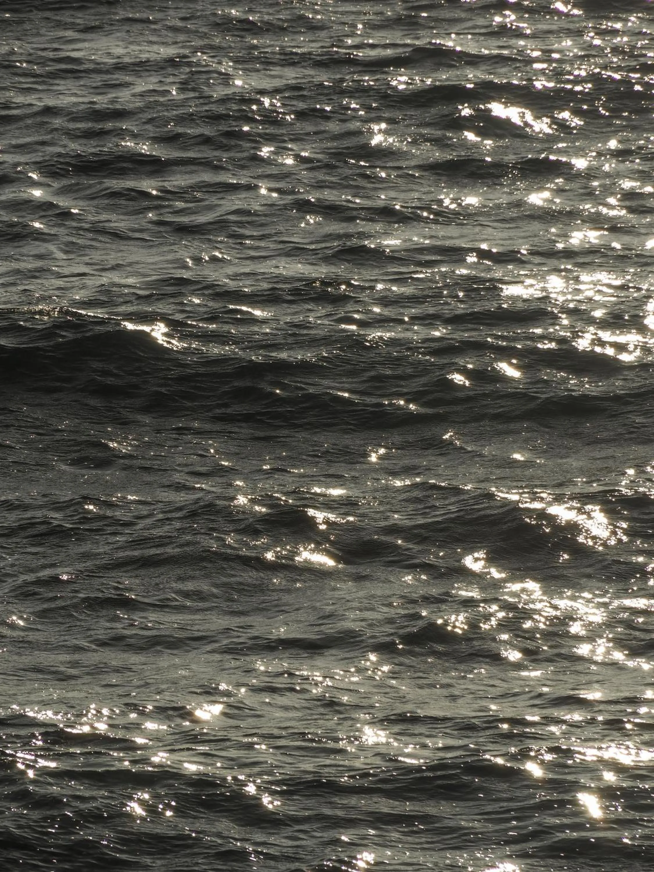 Sea view in Hotel Plein Large