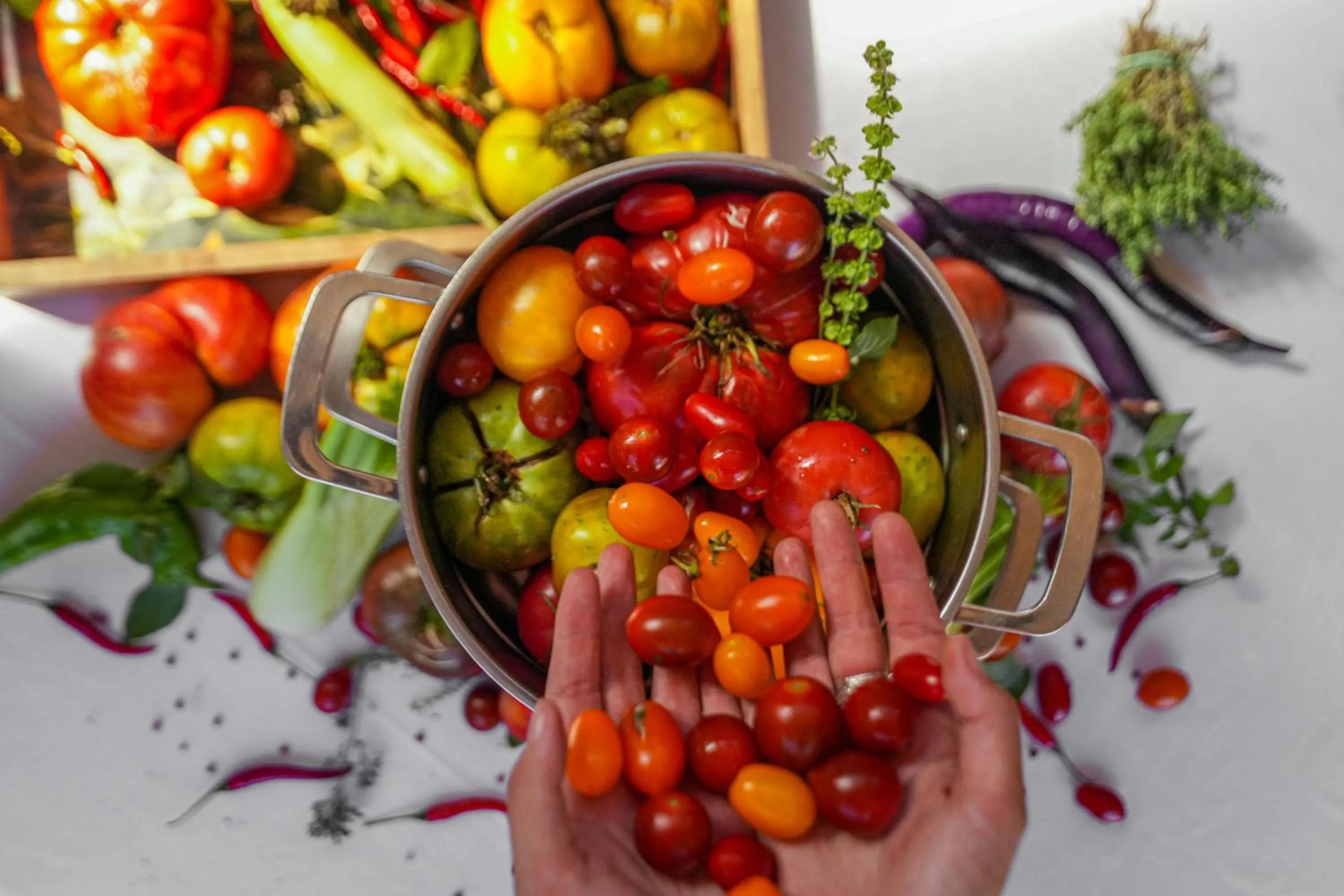 Restaurant/places to eat in Hotel Plein Large