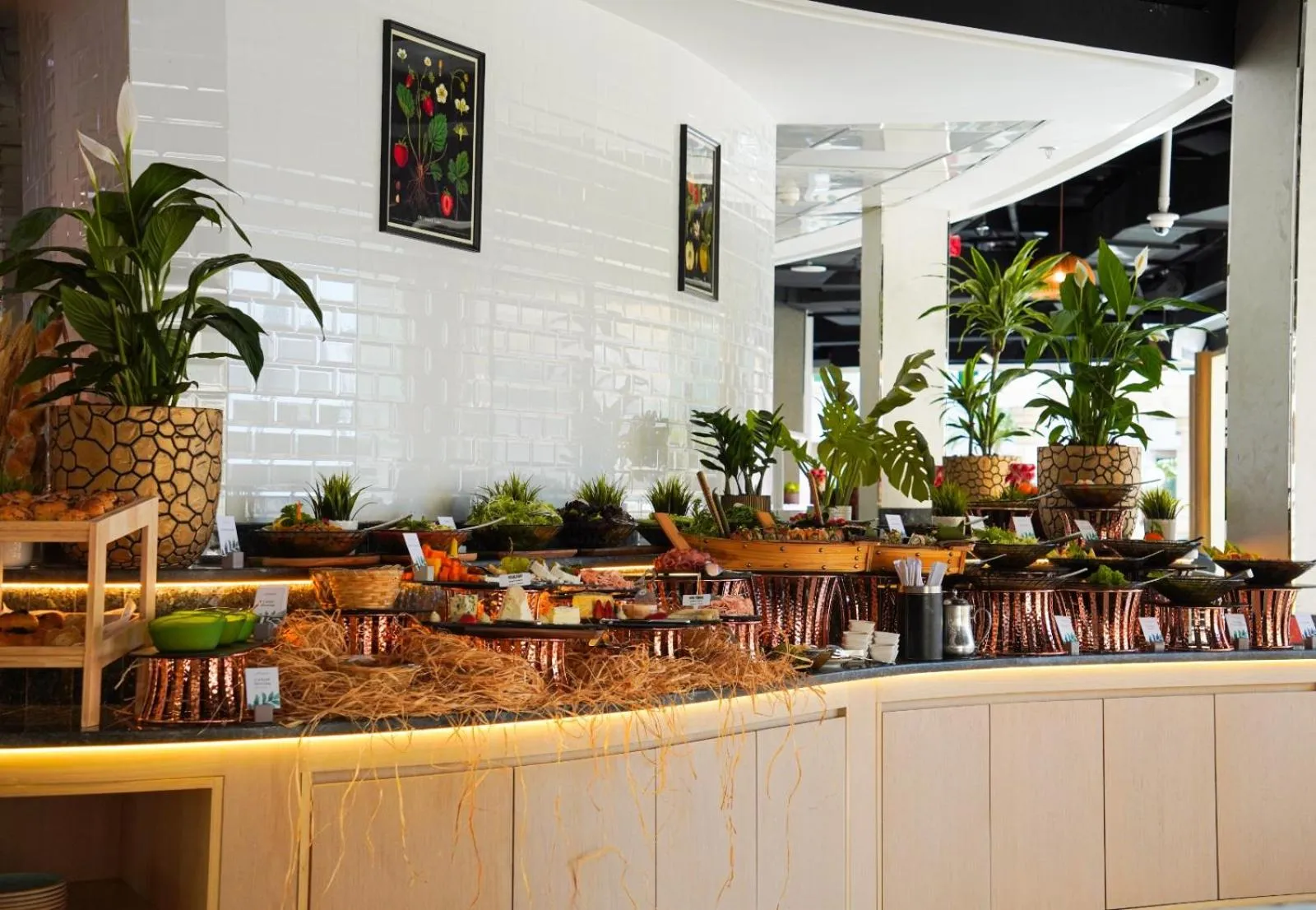 Buffet breakfast in Swissôtel Al Murooj Dubai