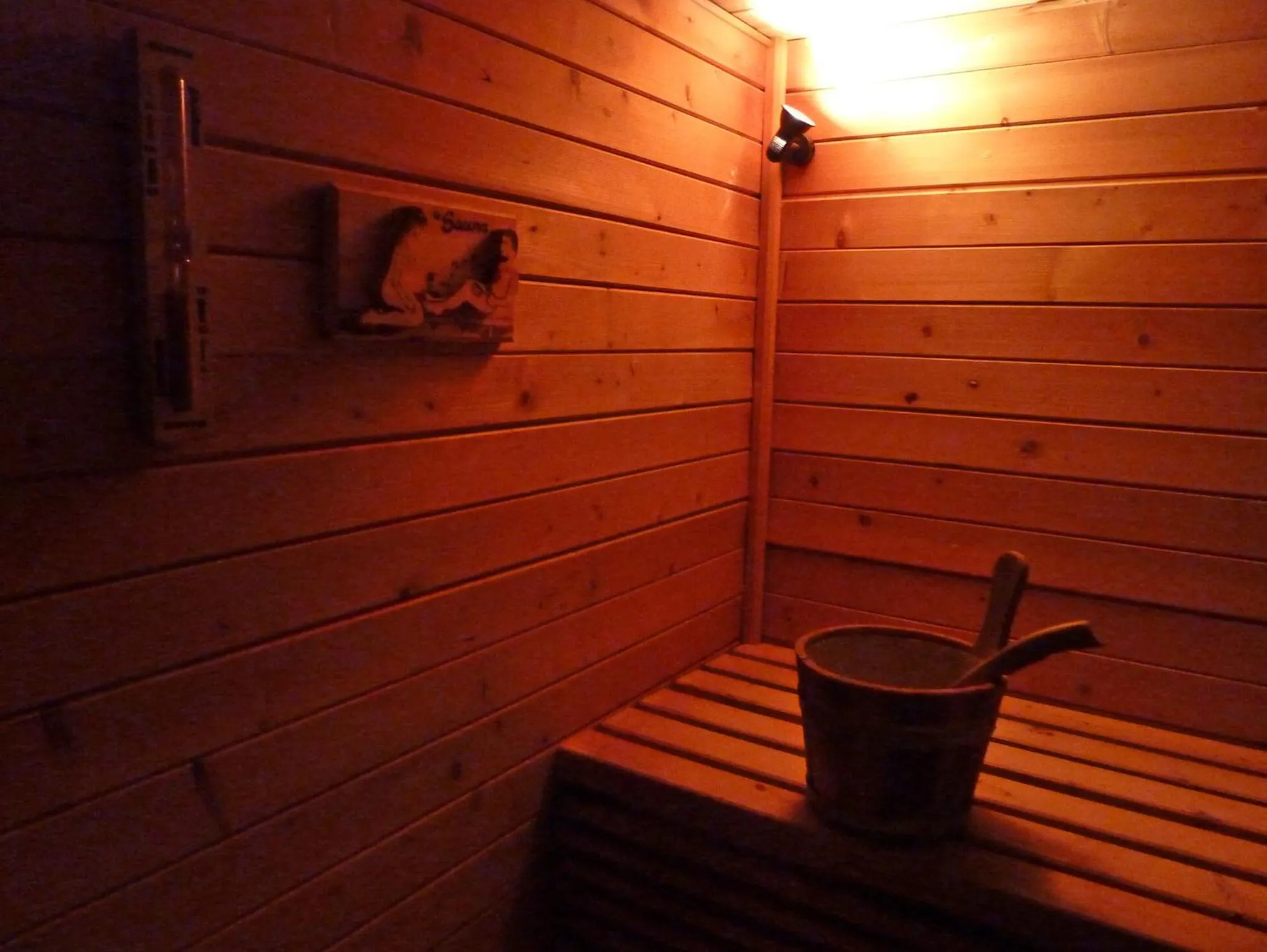 Sauna in Hotel Auberge Edelweiss